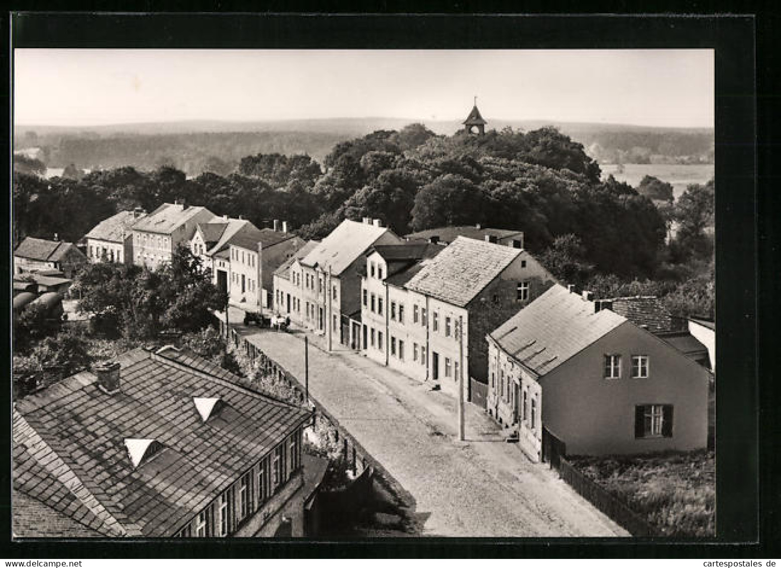AK Biesenthal, Schlossberg mit Strassenpartie