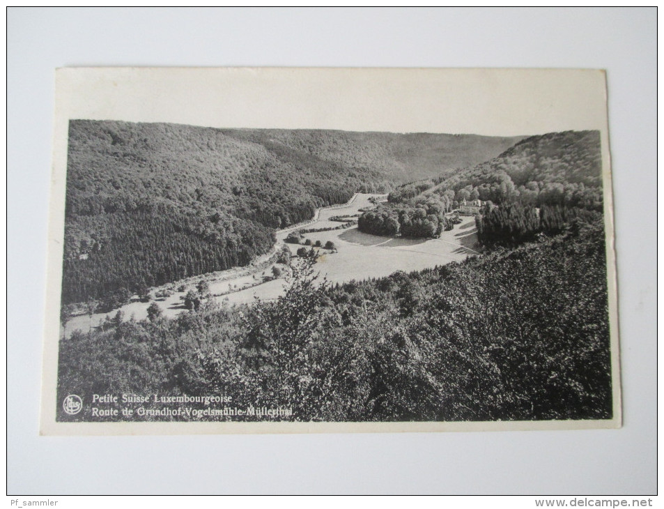 AK / Bildpostkarte Luxembourg 1952 petite Suisse Luxembourgeoise. Route de Grundhof - Vogelsmühle- Müllerthal