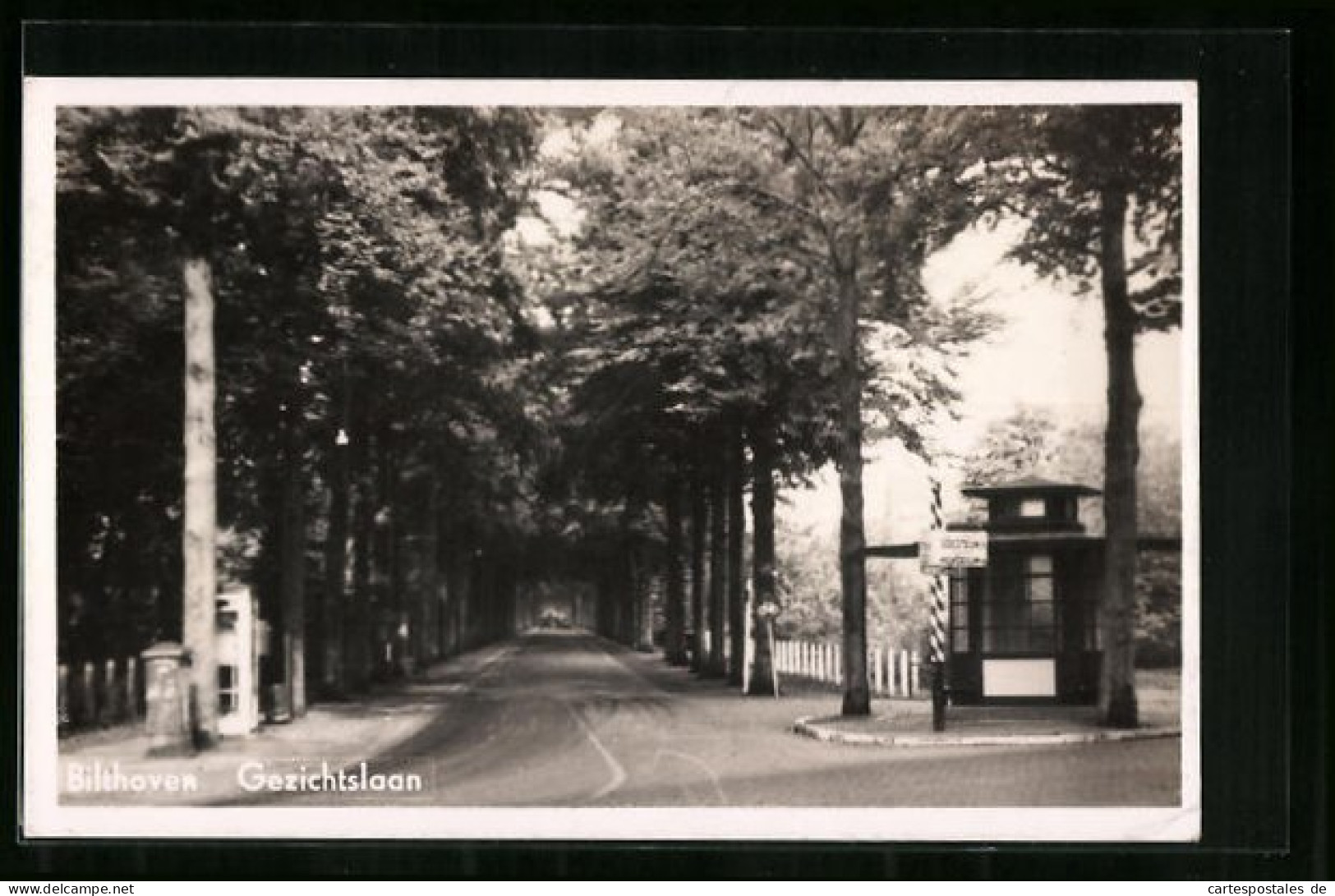 AK Bilthoven, Gezichtslaan