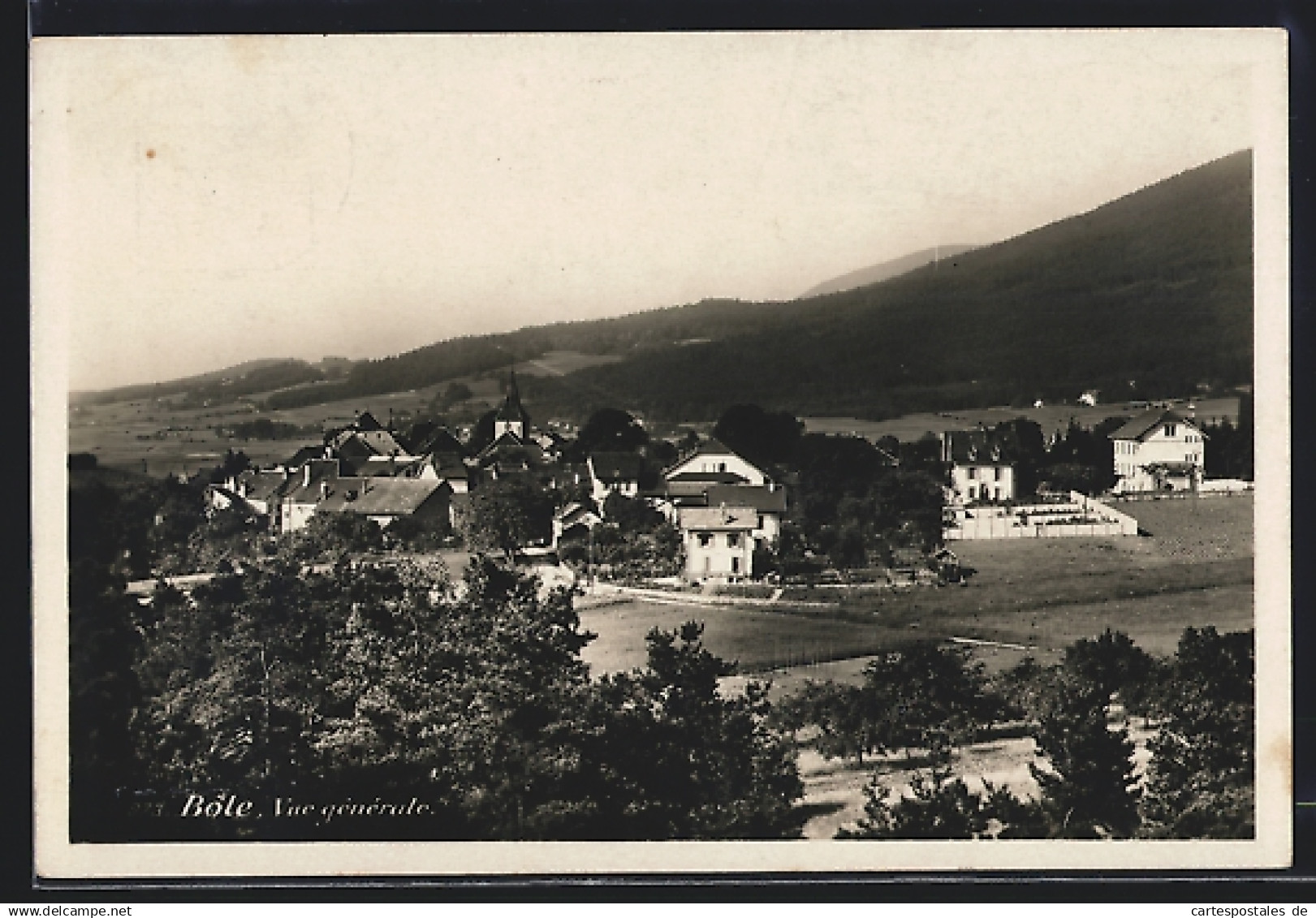 AK Bole, Vue générale