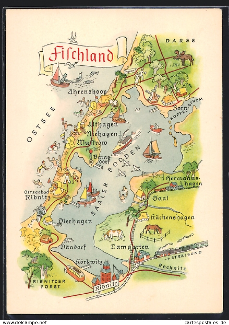 AK Born / Darss, Landkarte vom Fischland Darss und Umgebung