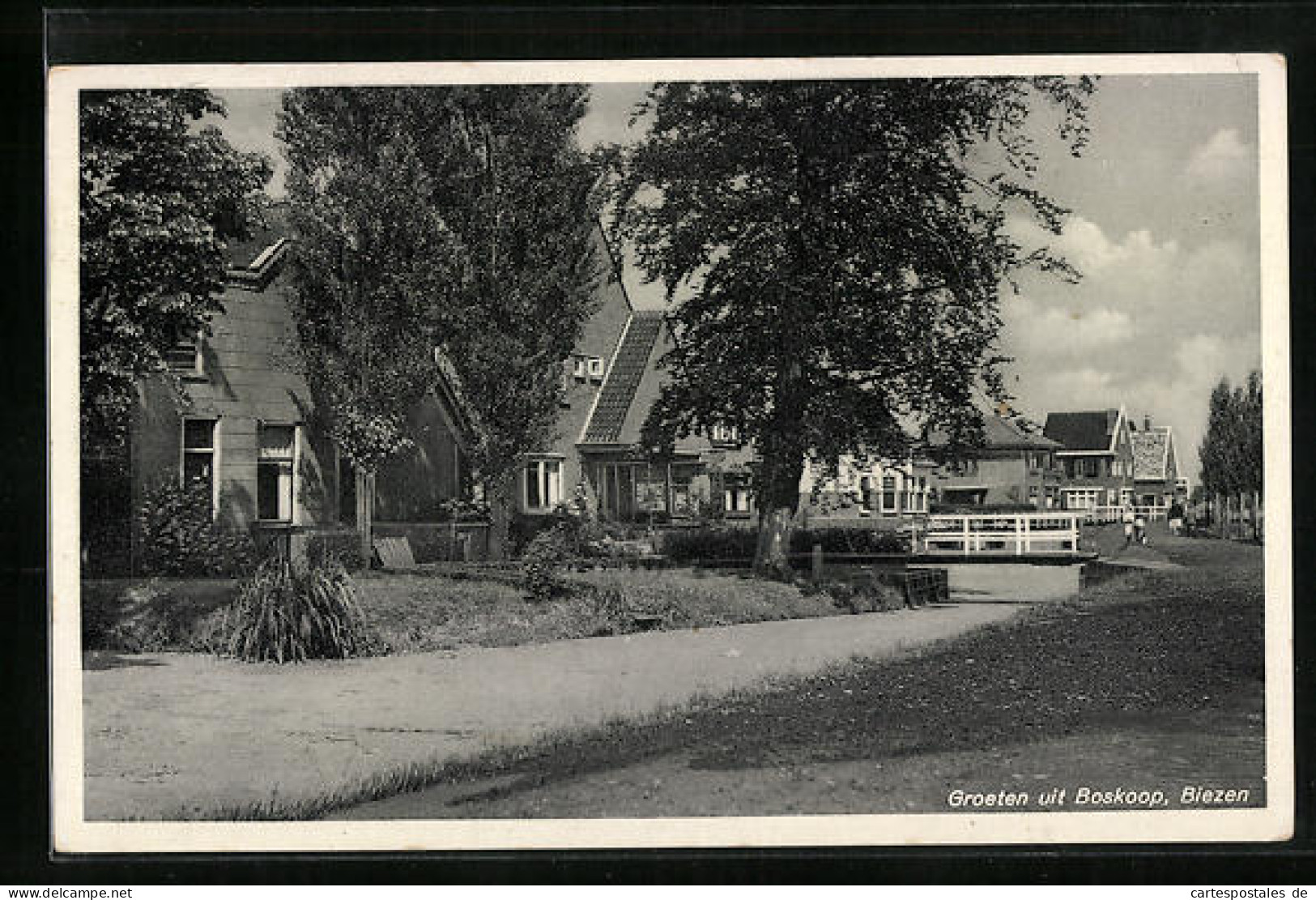AK Boskoop, Biezen