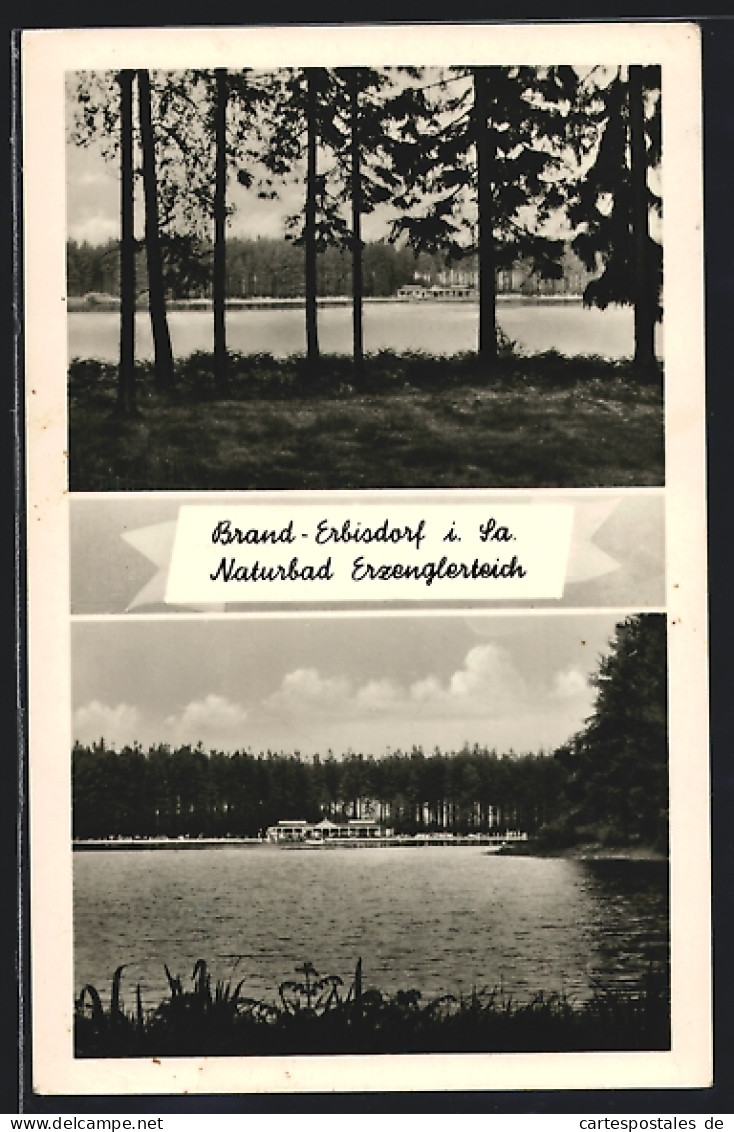 AK Brand-Erbisdorf, Partie im Naturbad Erzenglerteich