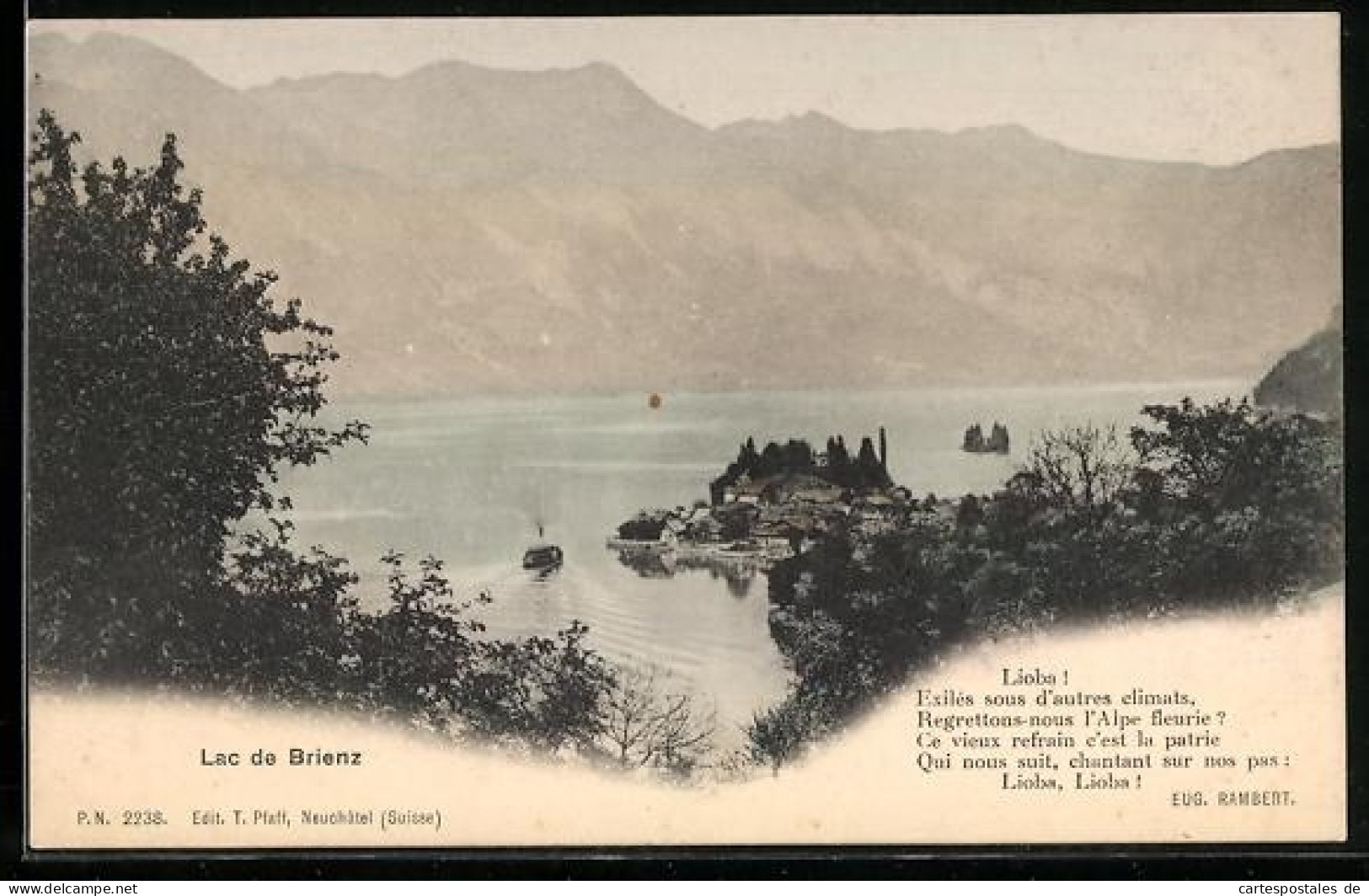 AK Brienz /BE, Lac de Brienz, Vue générale