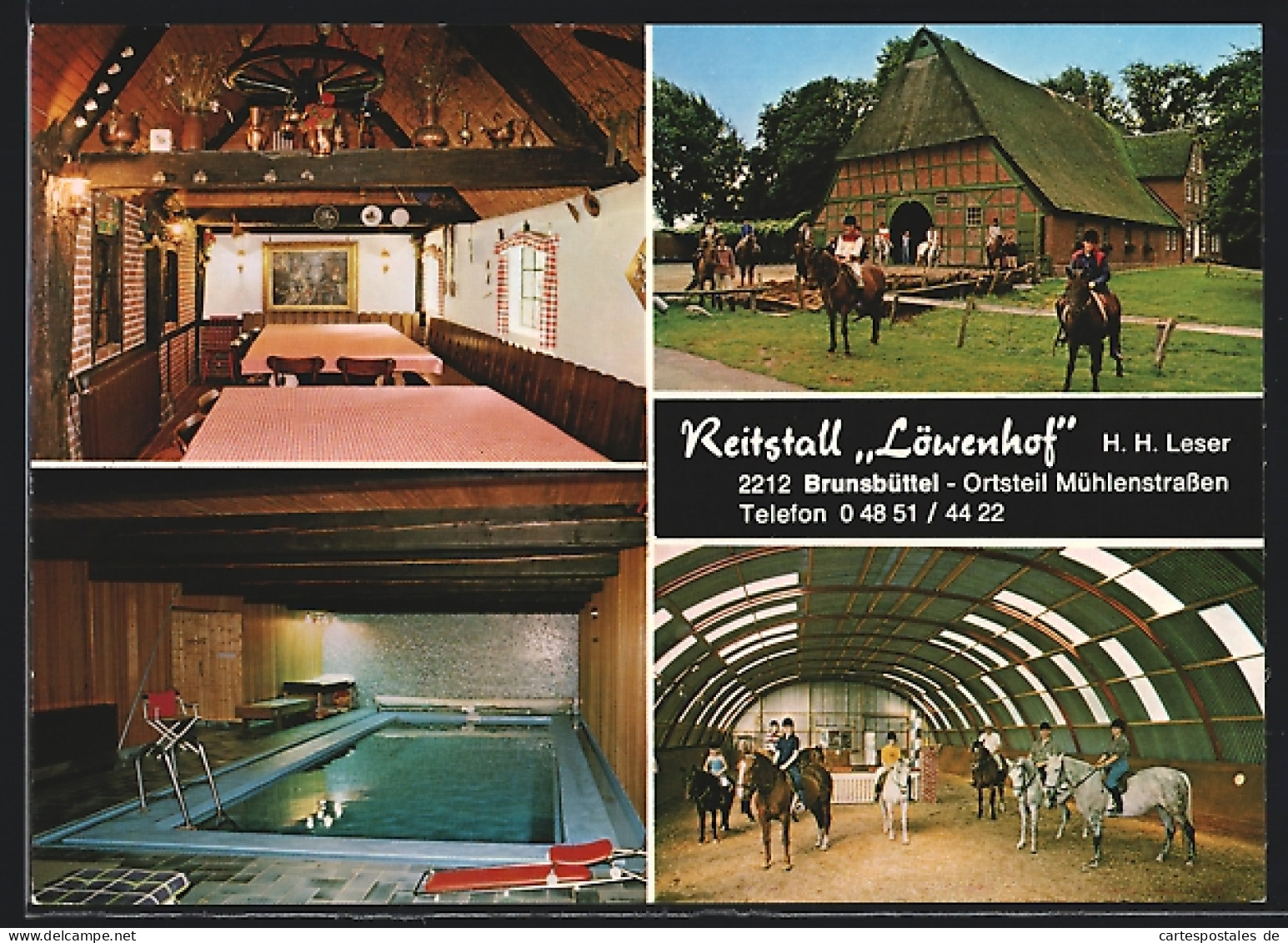 AK Brunsbüttel Ortsteil Mühlenstrassen, Reitstall Löwenhof in vier Ansichten