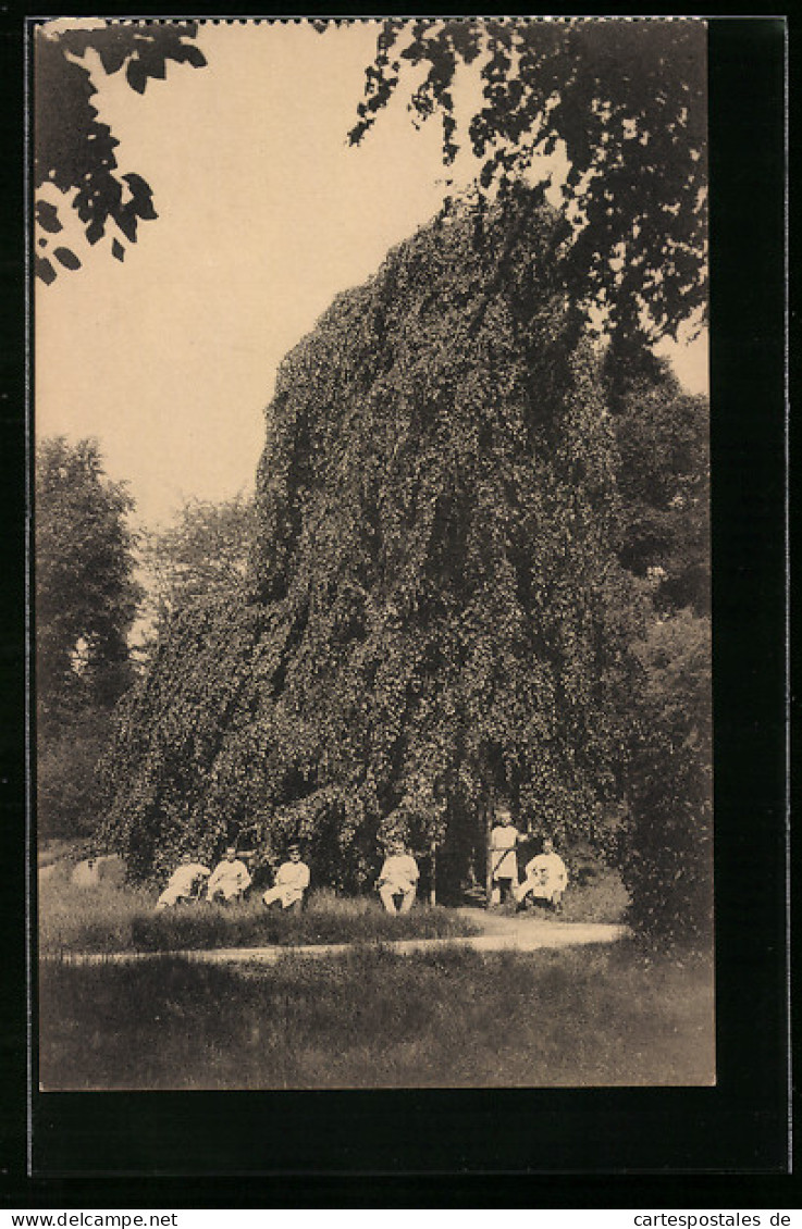 AK Brüssel / Bruxelles, Kriegslazarett II, Gartenlaube