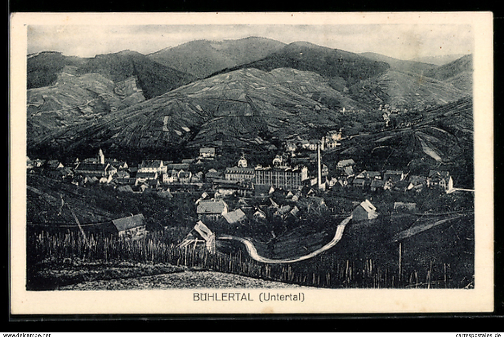 AK Bühl /Bühlertal, Untertal