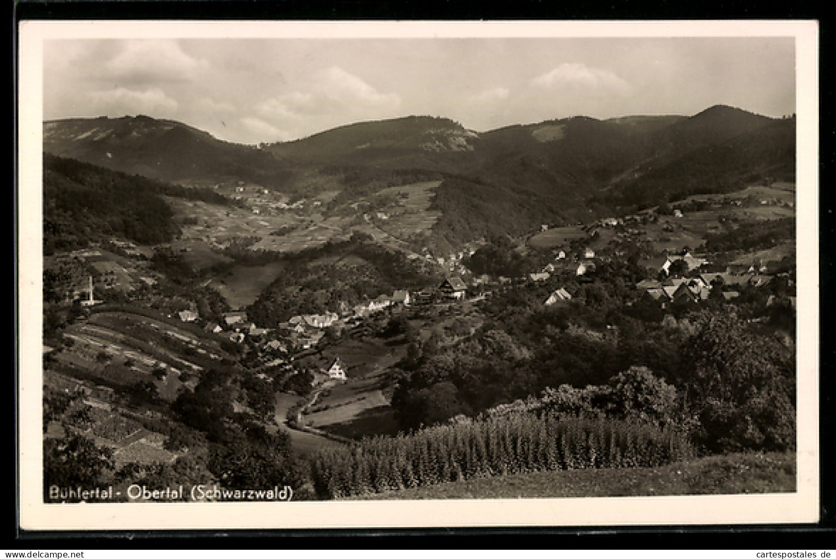 AK Bühlertal-Obertal /Schwarzwald, Panorama