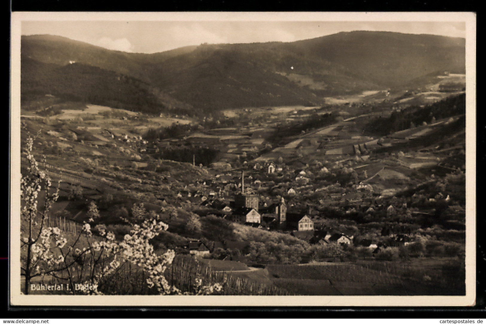 AK Bühlertal, Panoramaansicht