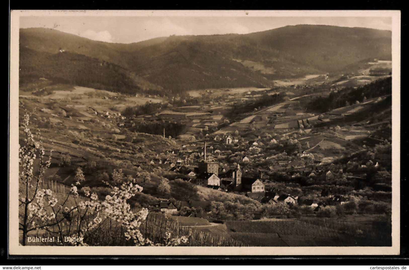 AK Bühlertal, Panoramaansicht