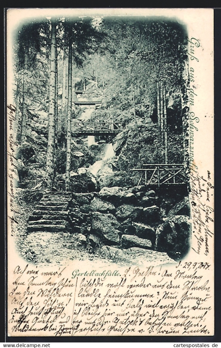 AK Bühlertal /Schwarzwald, Blick auf die Gertelbachfälle