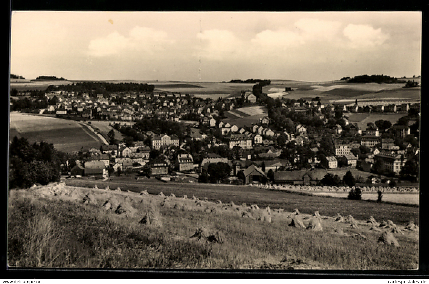 AK Burkhardtsdorf /Erzgeb., Teilansicht mit Heugarben
