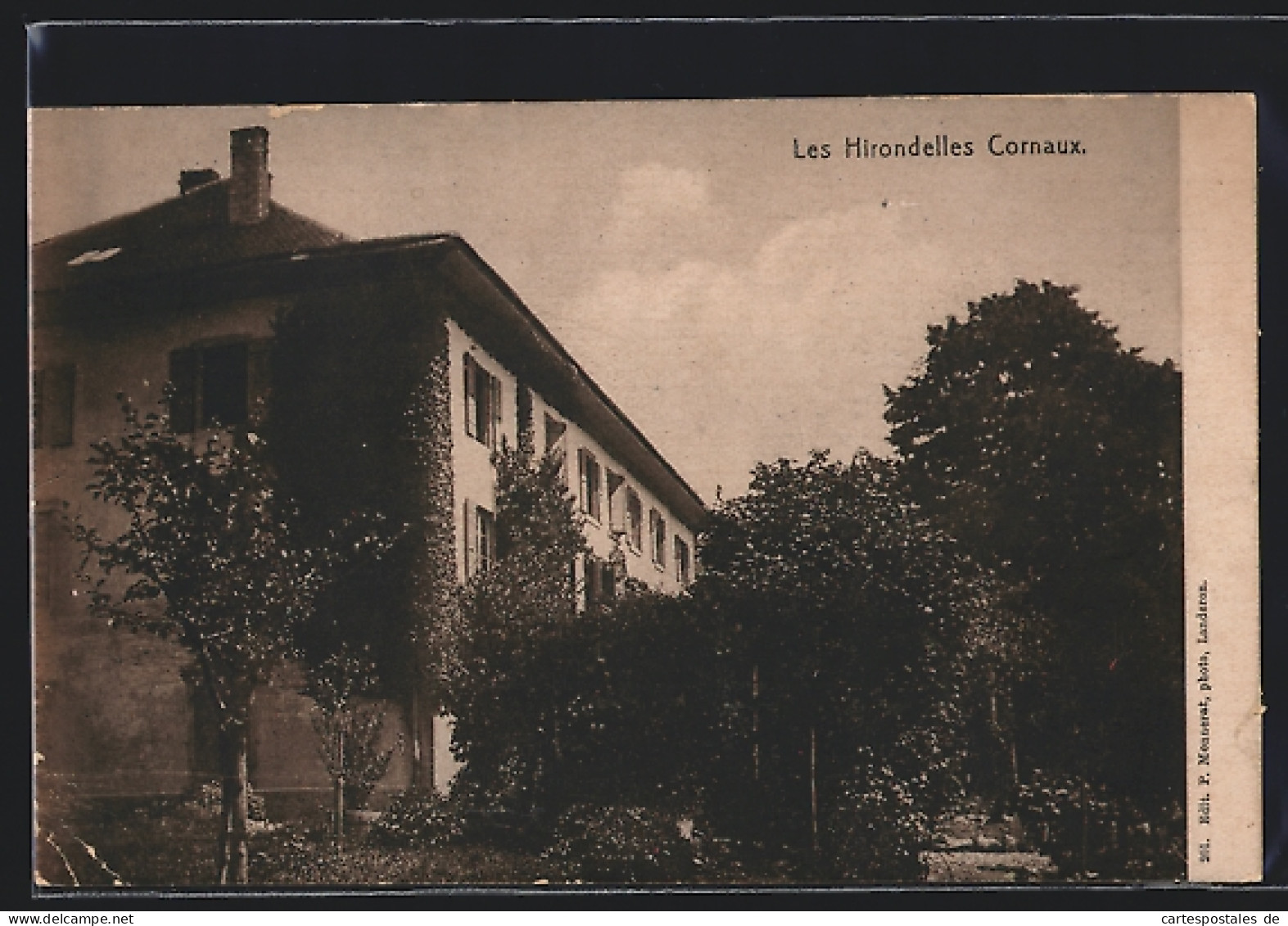 AK Cornaux, Les Hirondelles