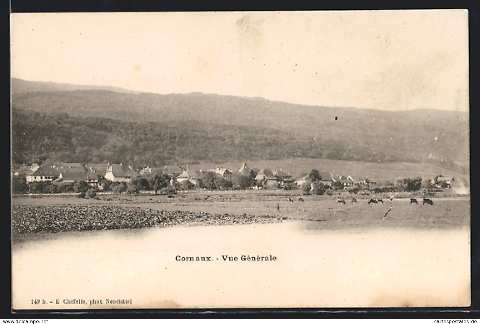 AK Cornaux, Vue générale