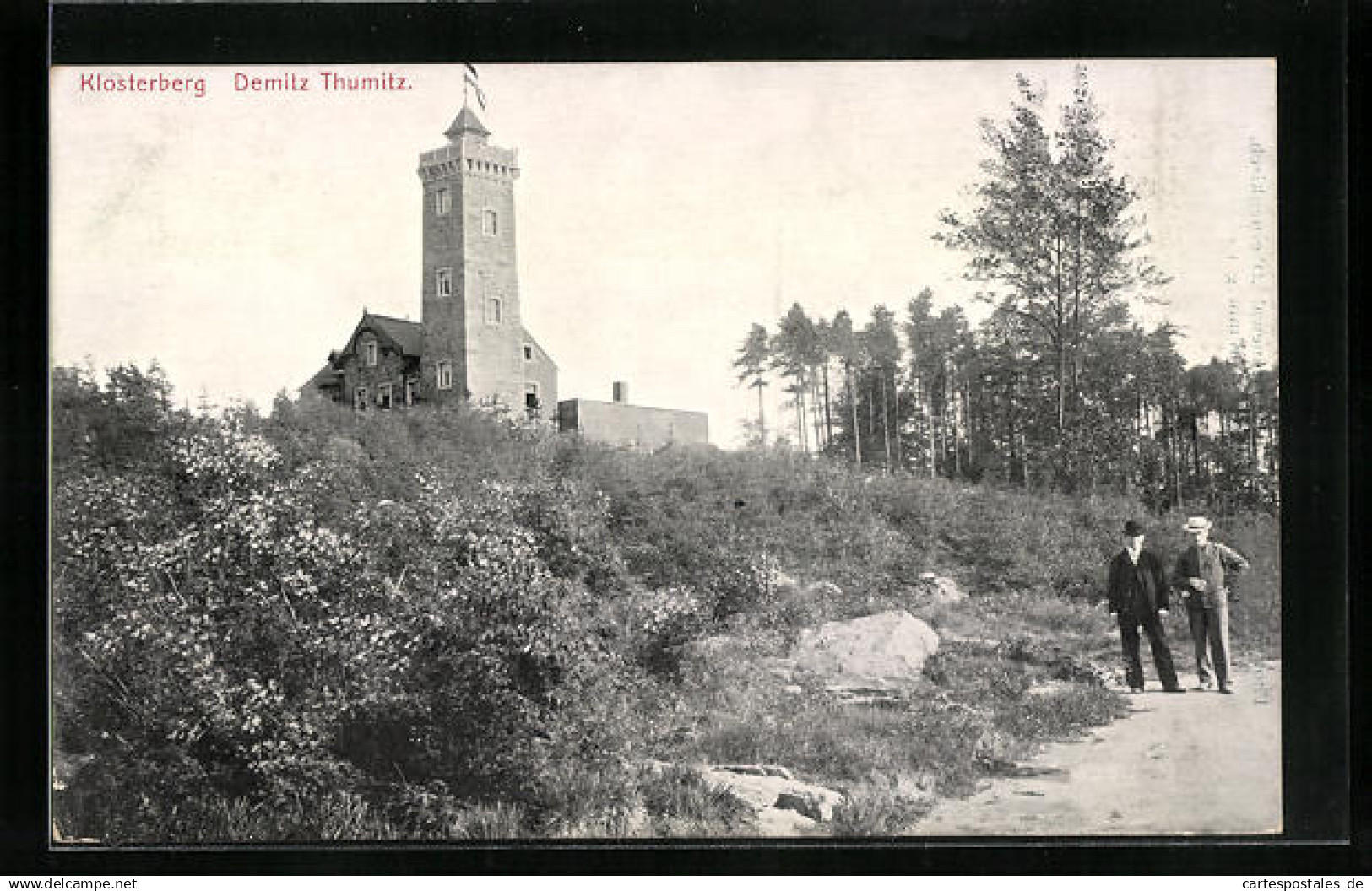 AK Demitz-Thumitz, Klosterberg mit Aussichtsturm