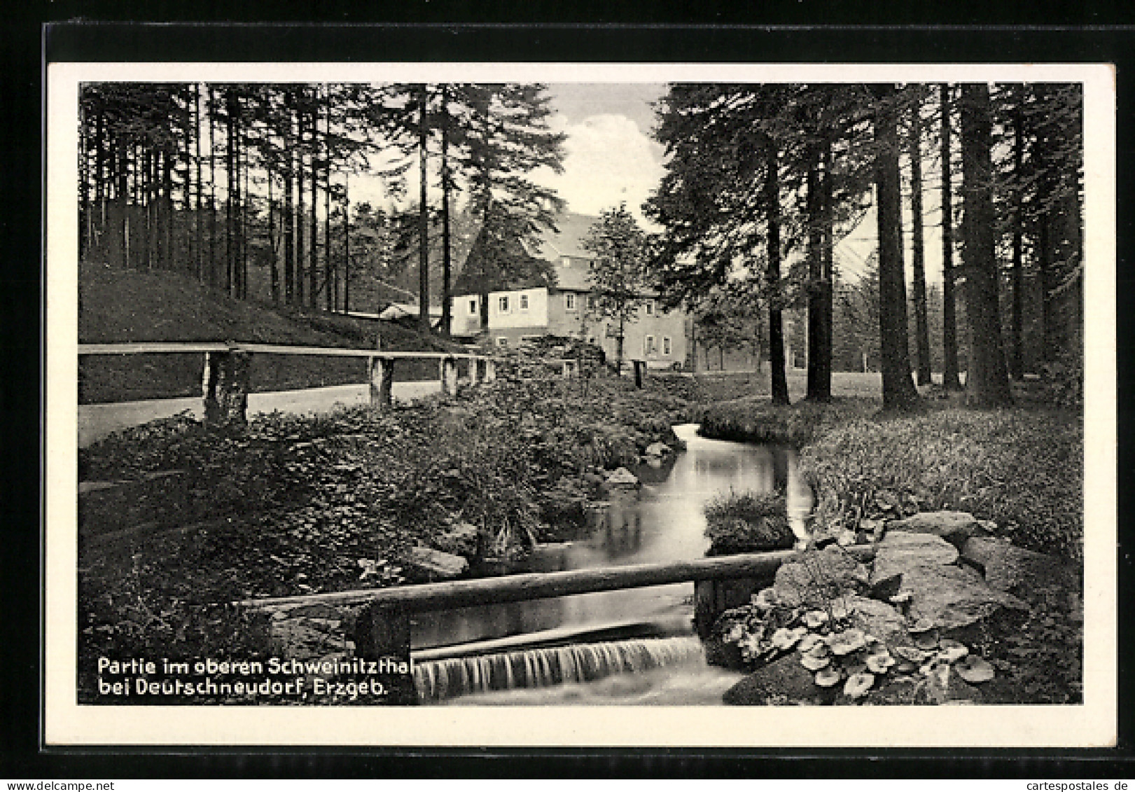 AK Deutschneudorf /Erzgeb., Partie im oberen Schweinitzthal