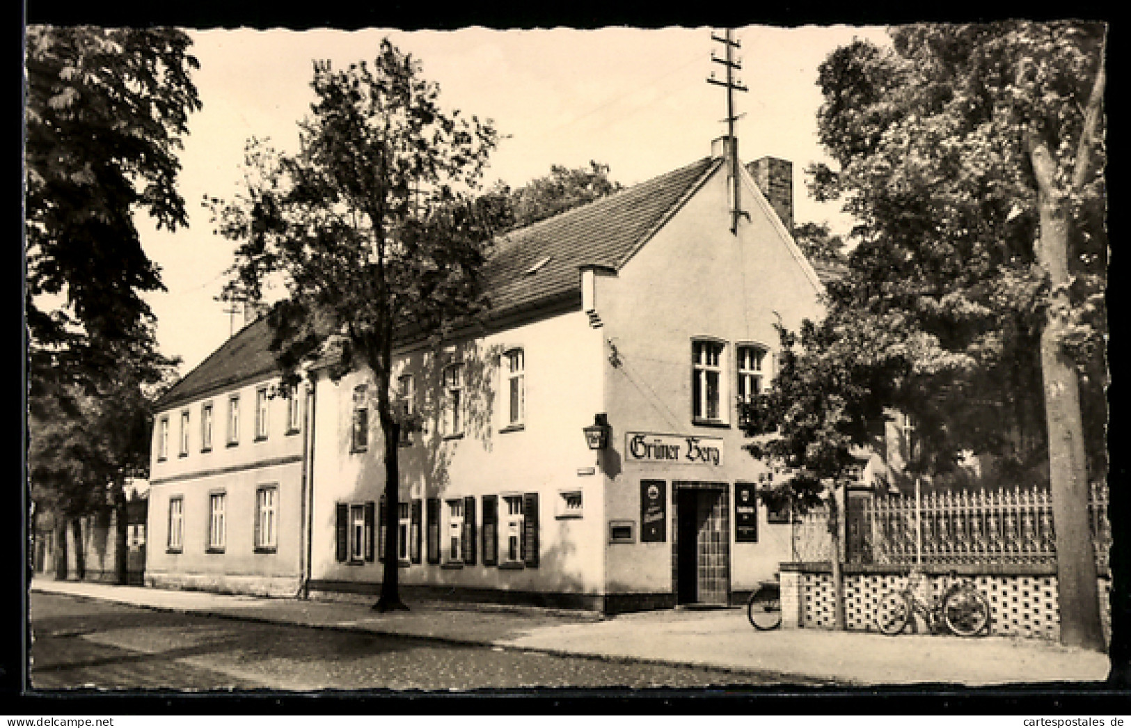 AK Doberlug-Kirchhain, HOG Grüner Berg
