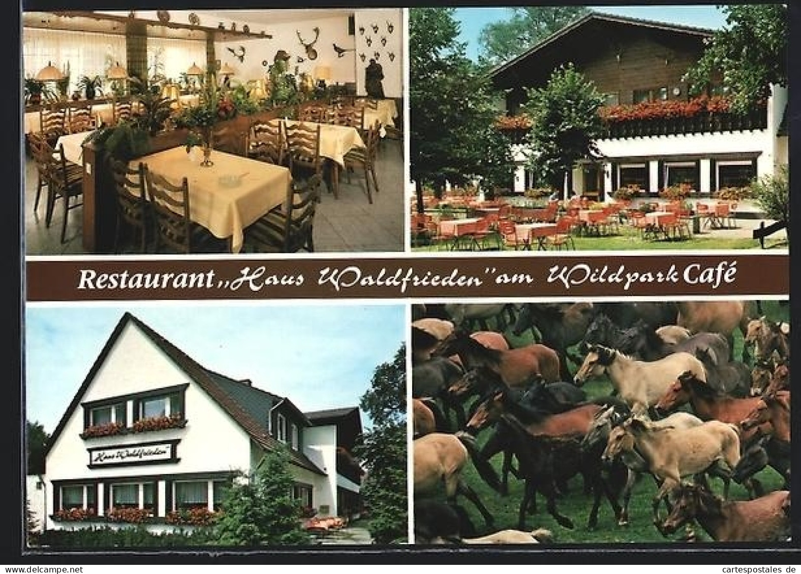 AK Dülmen, Gasthaus-Haus Waldfriden am Wildpark