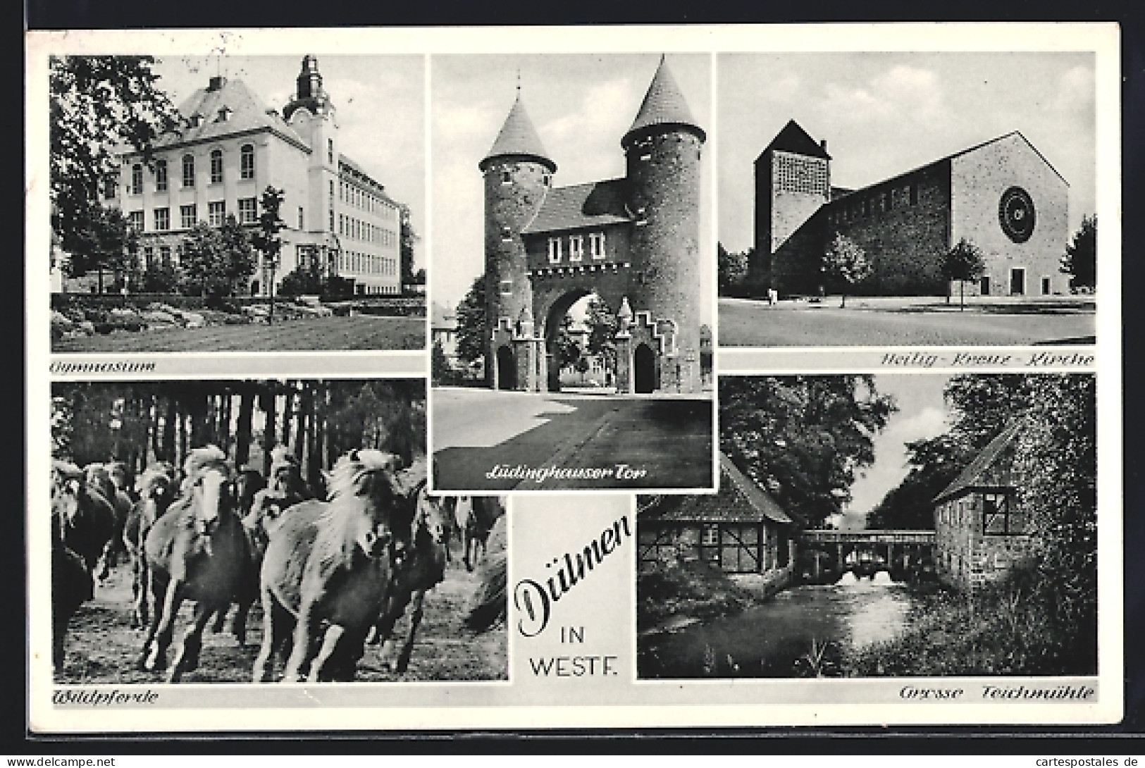 AK Dülmen, Lüdinghauser Tor, Wildpferde, Gymnasium, Teichmühle