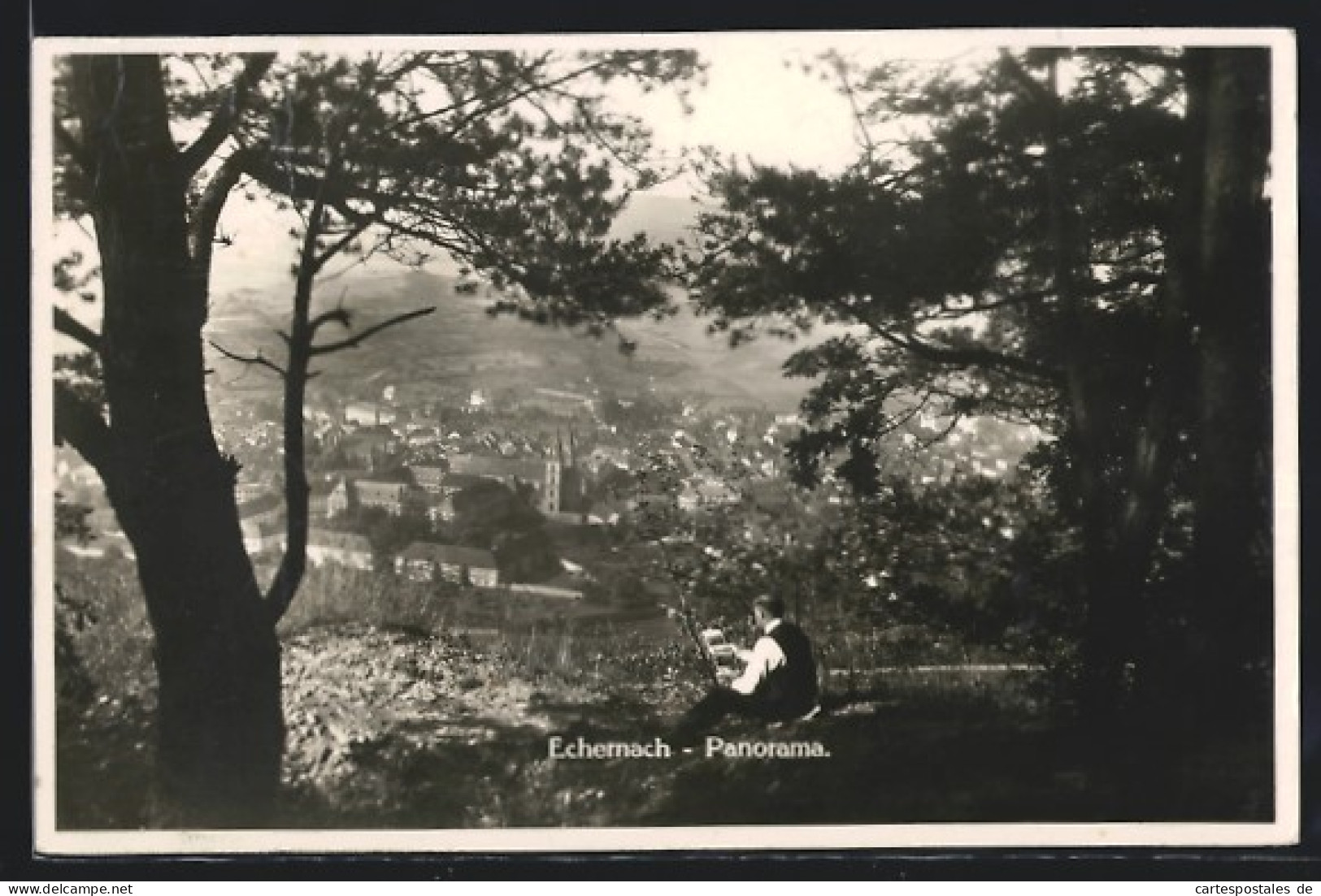 AK Echternach, Panorama der Stadt von einem Aussichtspunkt über der Stadt