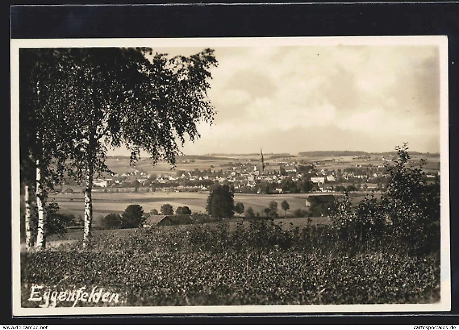 AK Eggenfelden, Ortsansicht mit Wiese