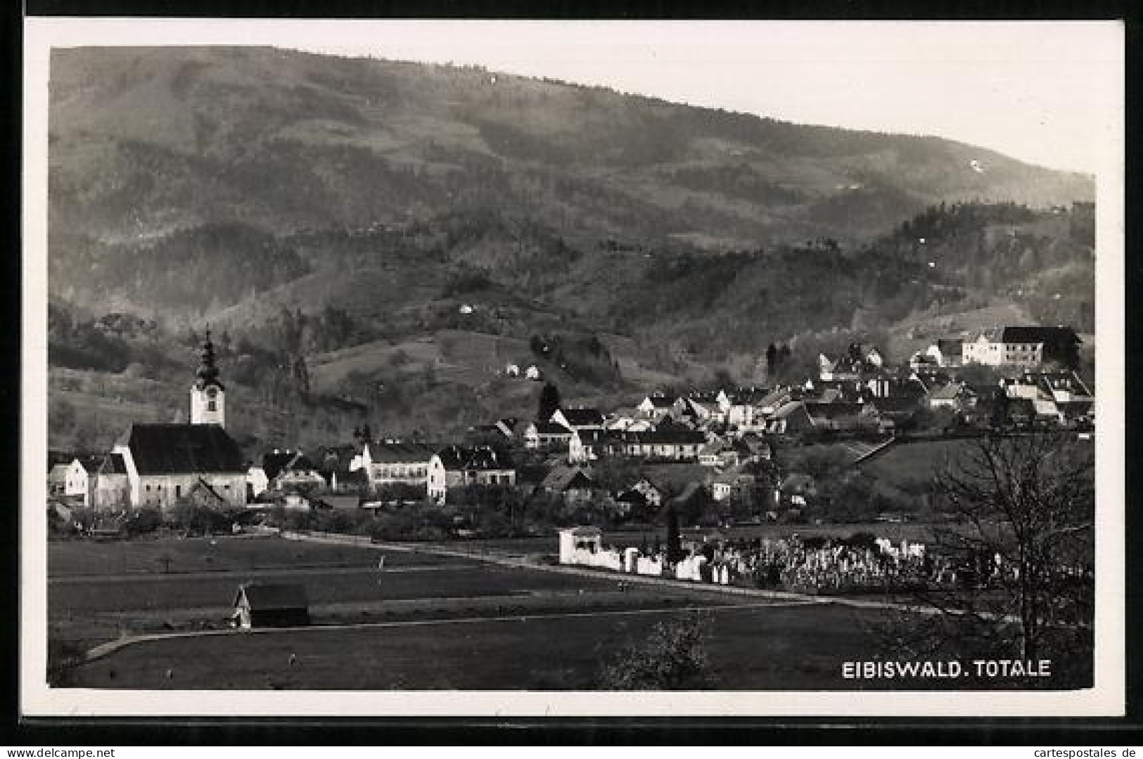 AK Eibiswald, Totalansicht mit Umgebung