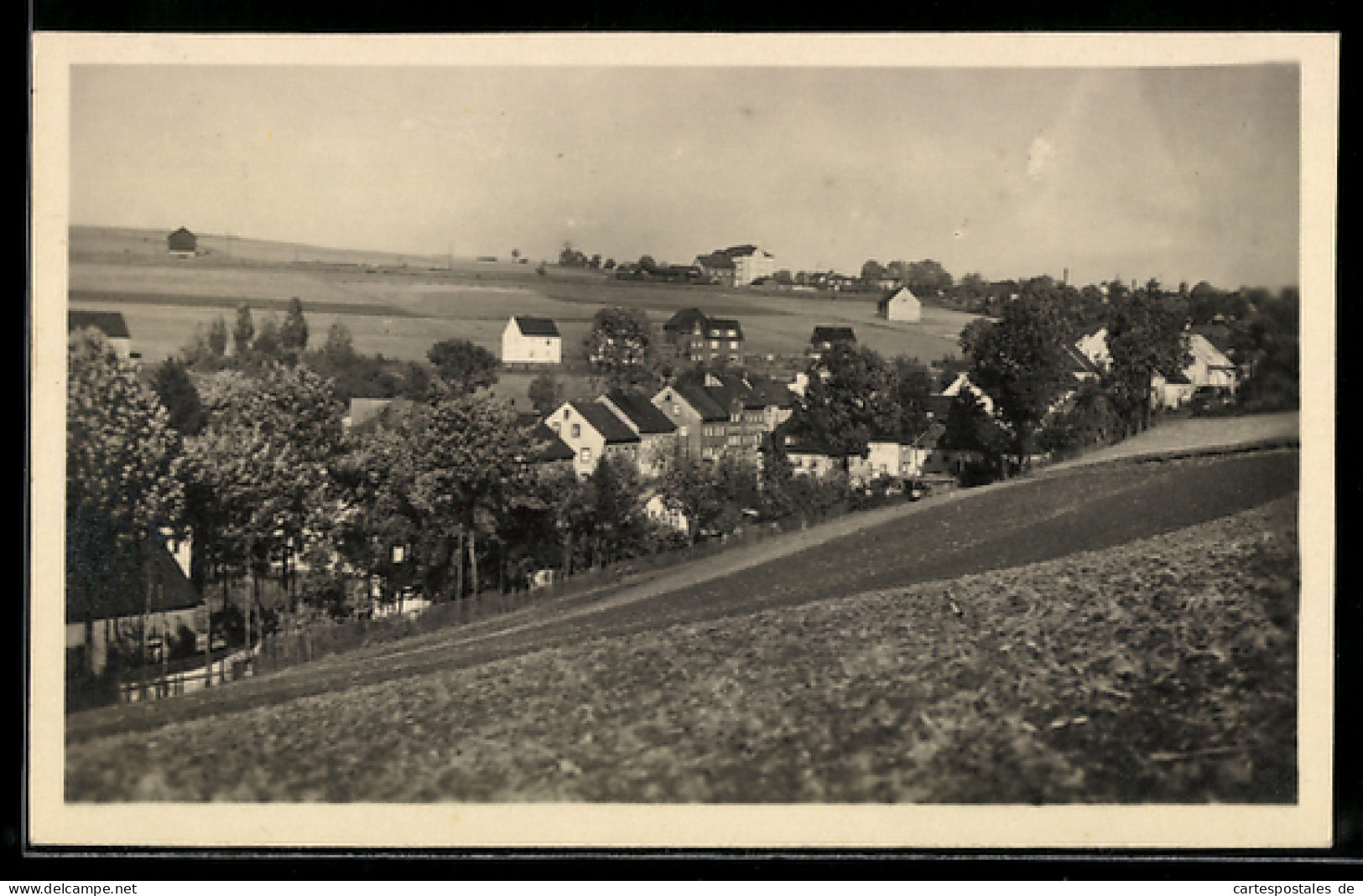 AK Elterlein i. Erzgeb., Ortsansicht mit Feldern