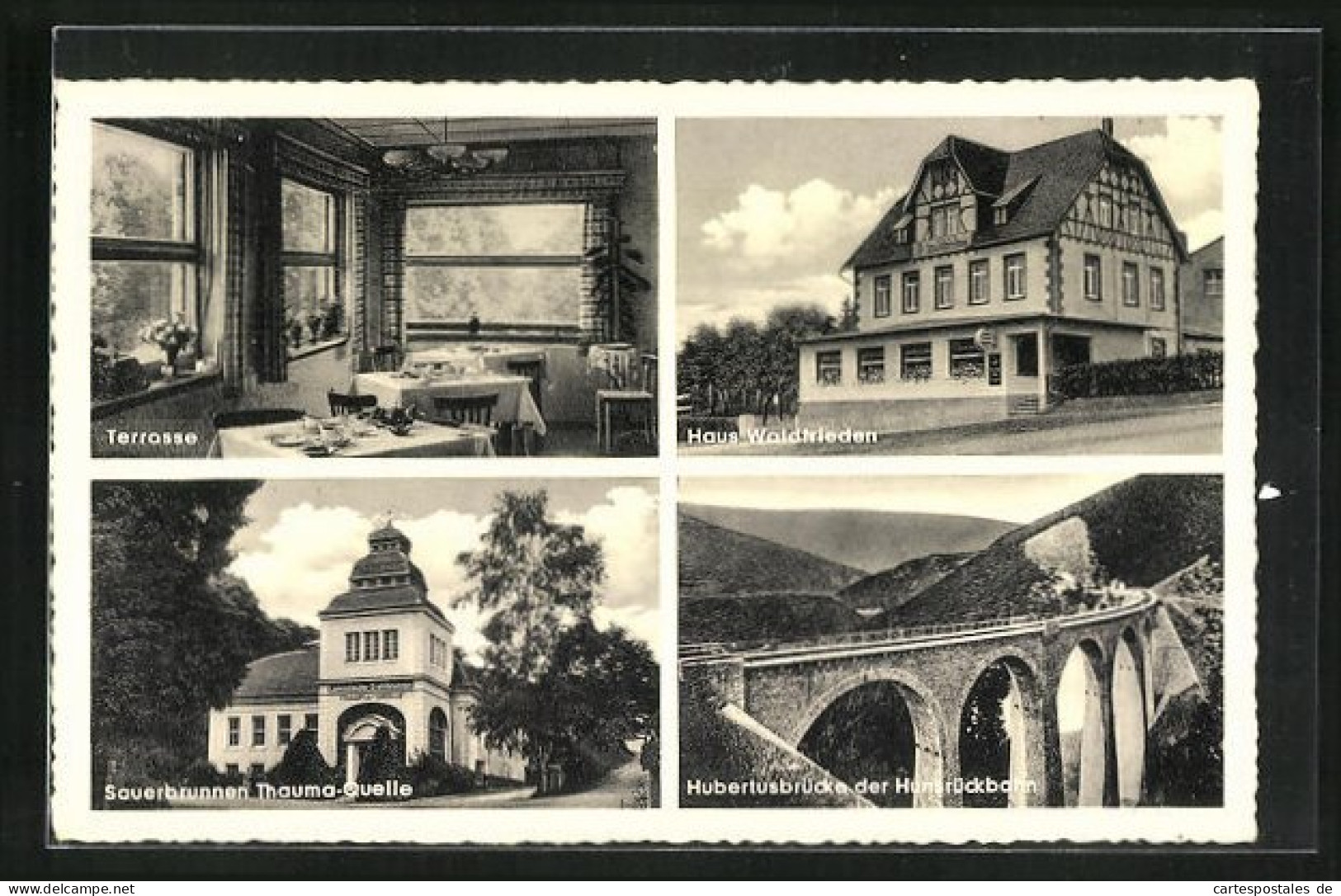 AK Emmelshausen, Hotel Haus Waldfrieden, Sauberbrunnen Thauma-Quelle, Hubertusbrücke