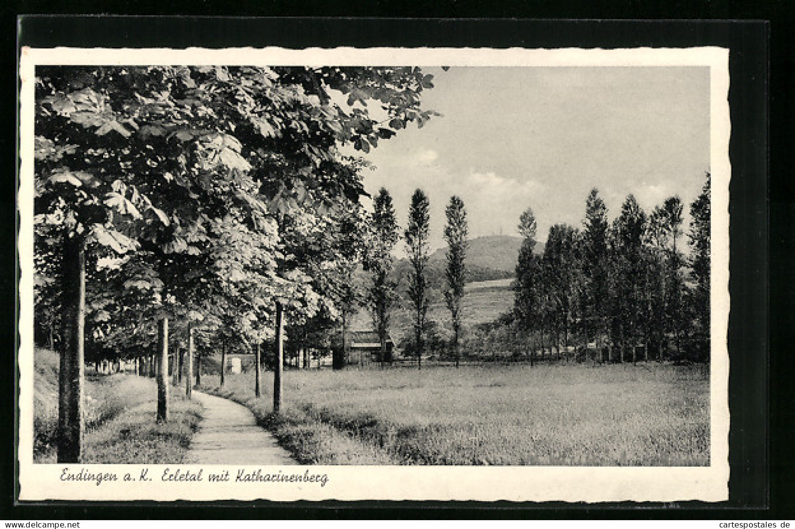 AK Endingen a. K., Erletal mit Katharinenberg