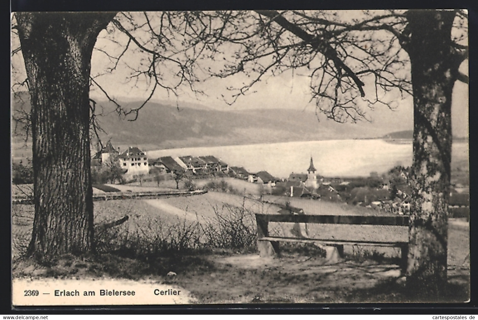 AK Erlach am Bielersee, Cerlier, Teilansicht