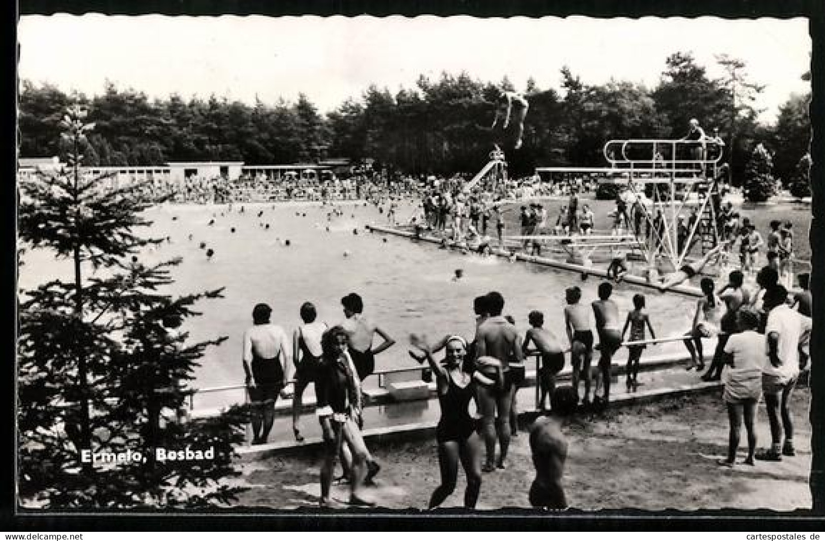 AK Ermelo, Bosbad