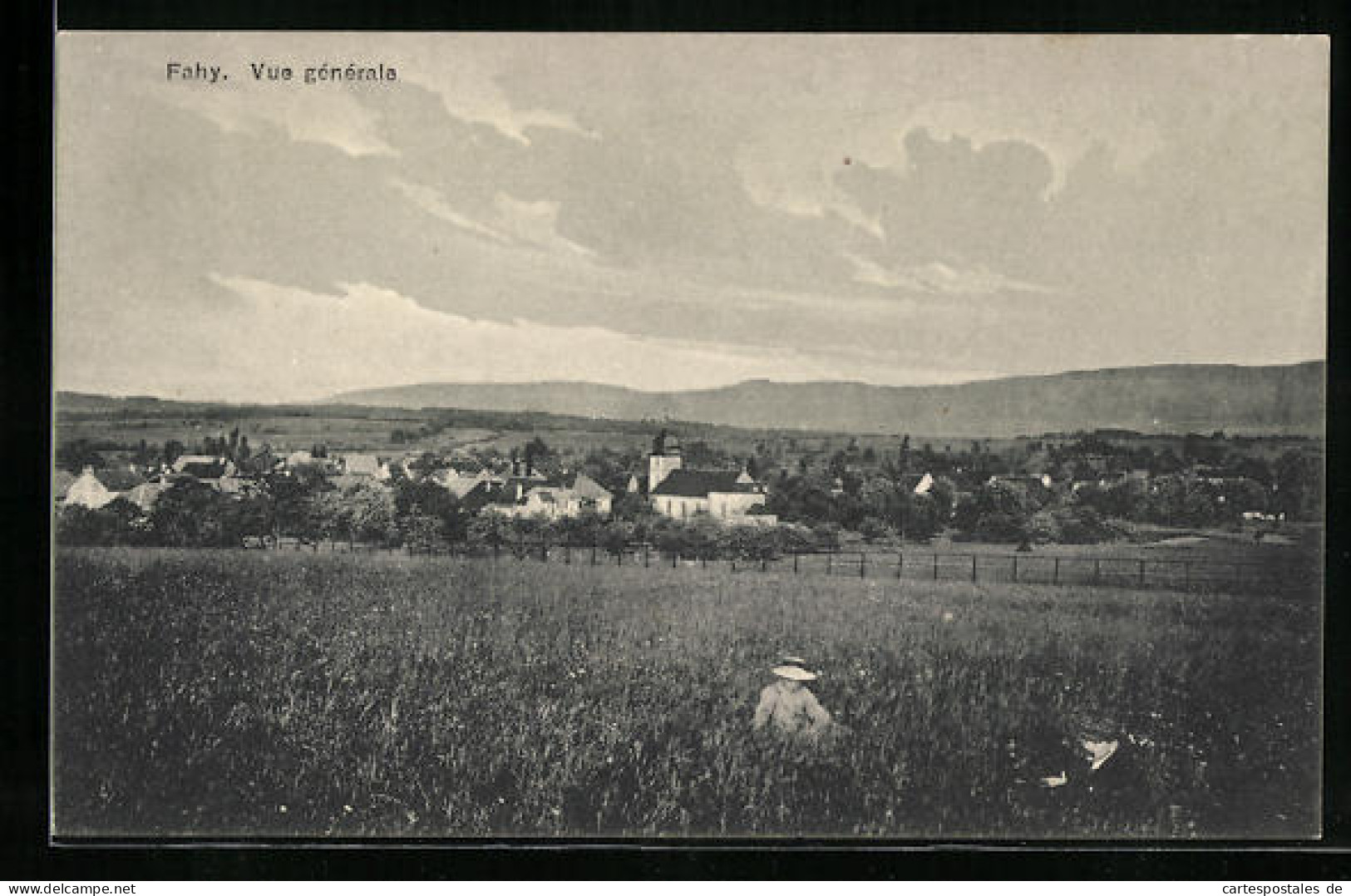 AK Fahy, Vue générale