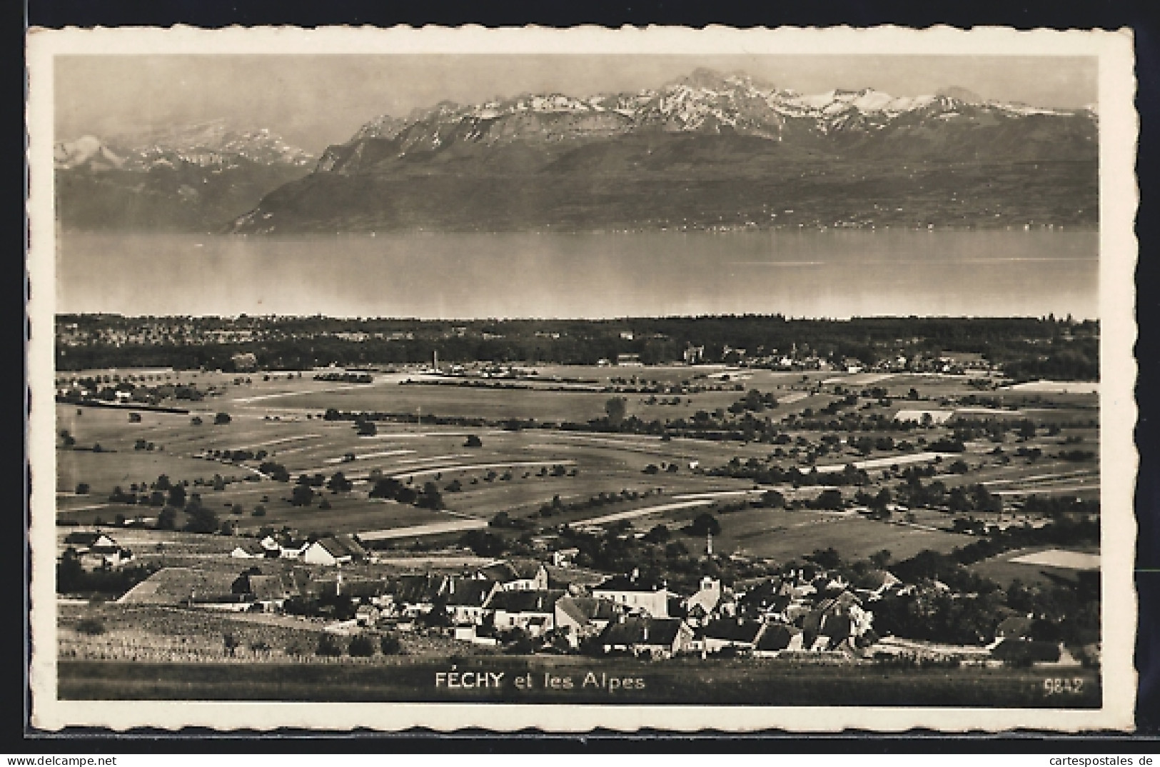 AK Féchy, Vue á les Alpes