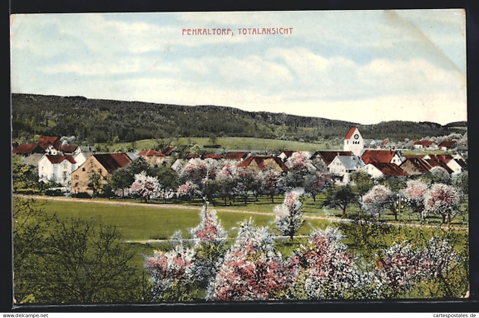 AK Fehraltorf, Totalansicht