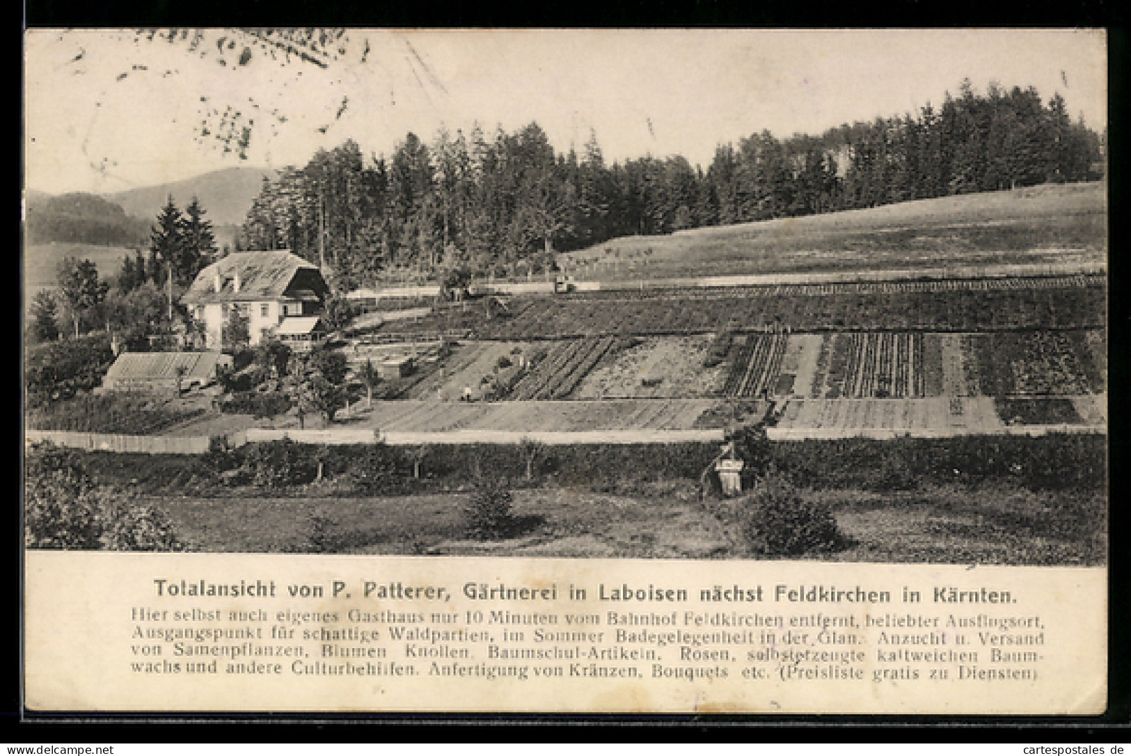 AK Feldkirchen in Kärnten, Laboisen, Totalansicht der Gärtnerei von P. Patterer