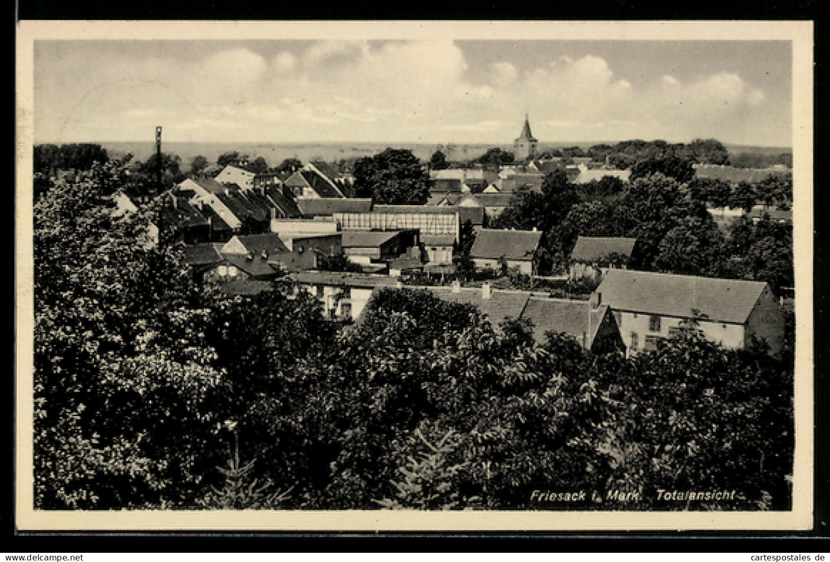 AK Friesack i. Mark, Totalansicht