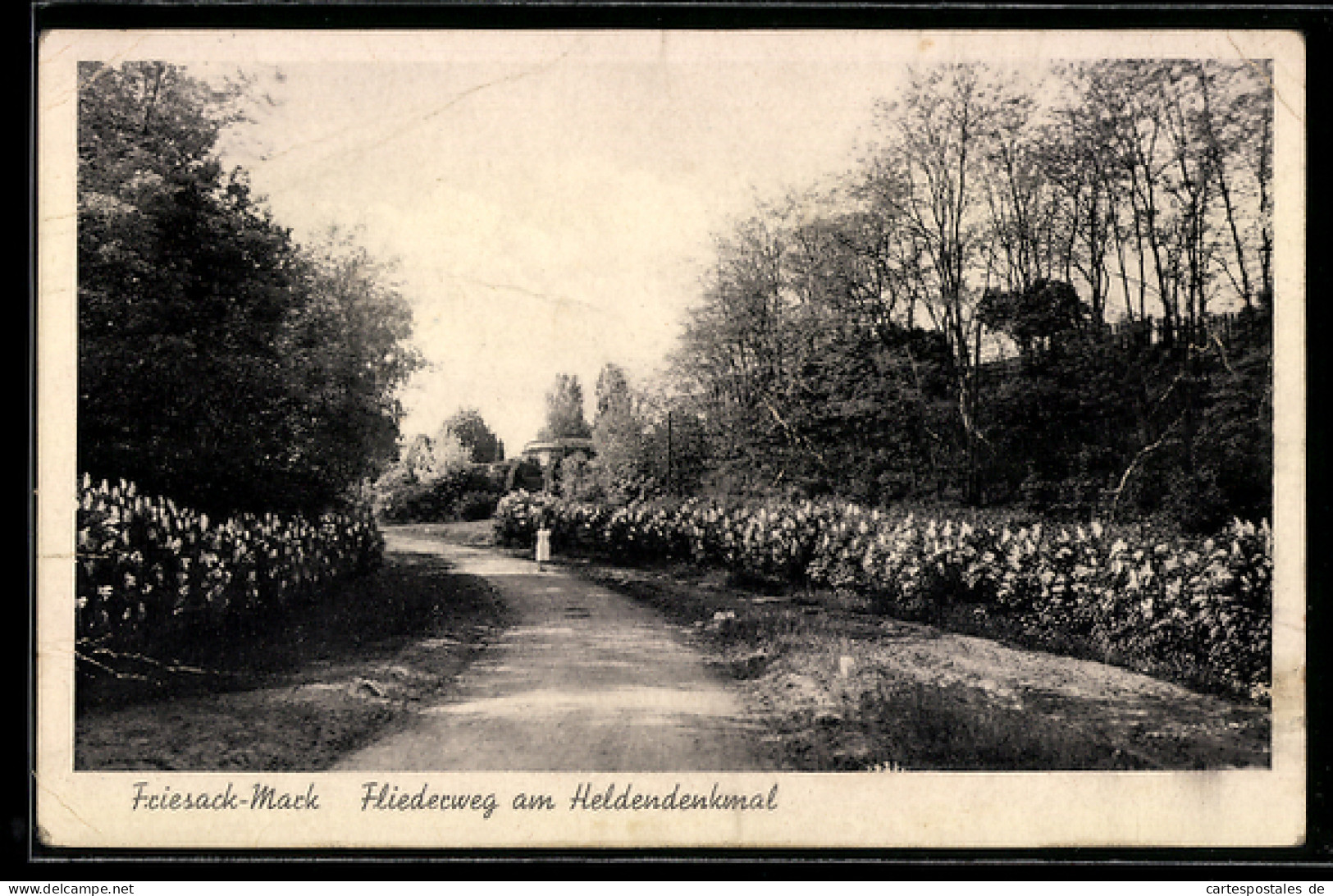 AK Friesack /Mark, Fliederweg am Heldendenkmal