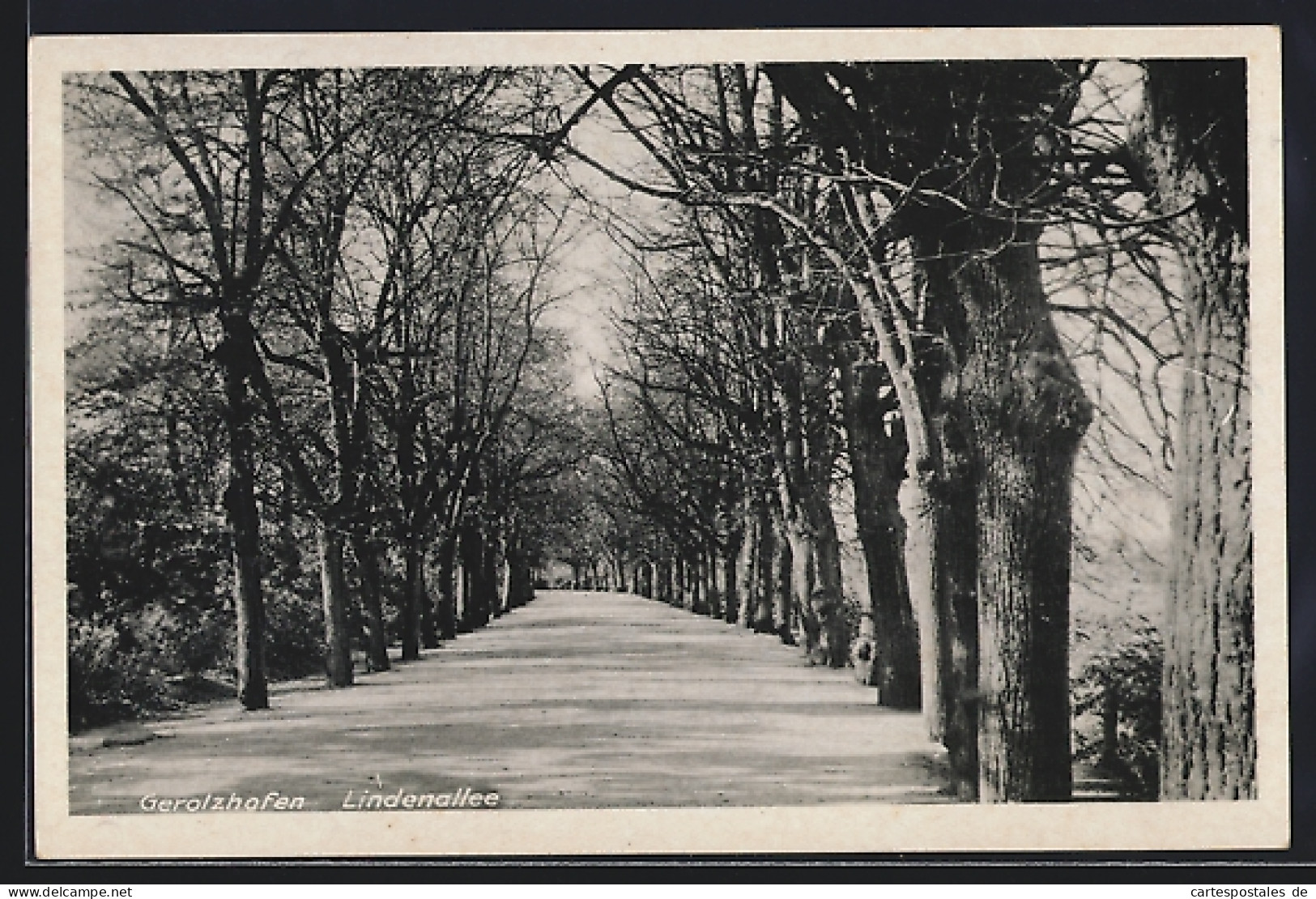 AK Gerolzhofen, Blick in die Lindenallee