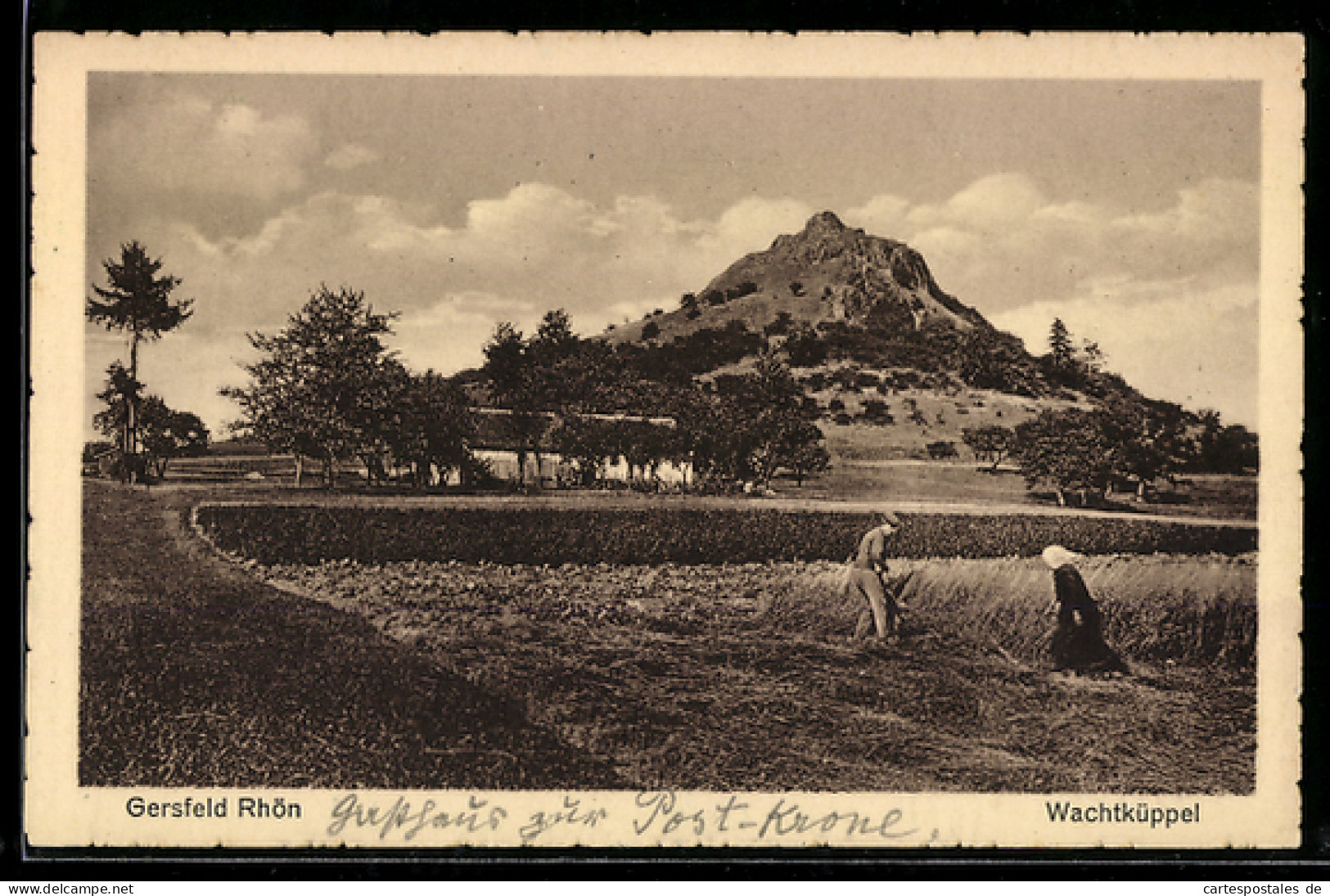 AK Gersfeld /Rhön, Wachtküppel, Feldarbeit