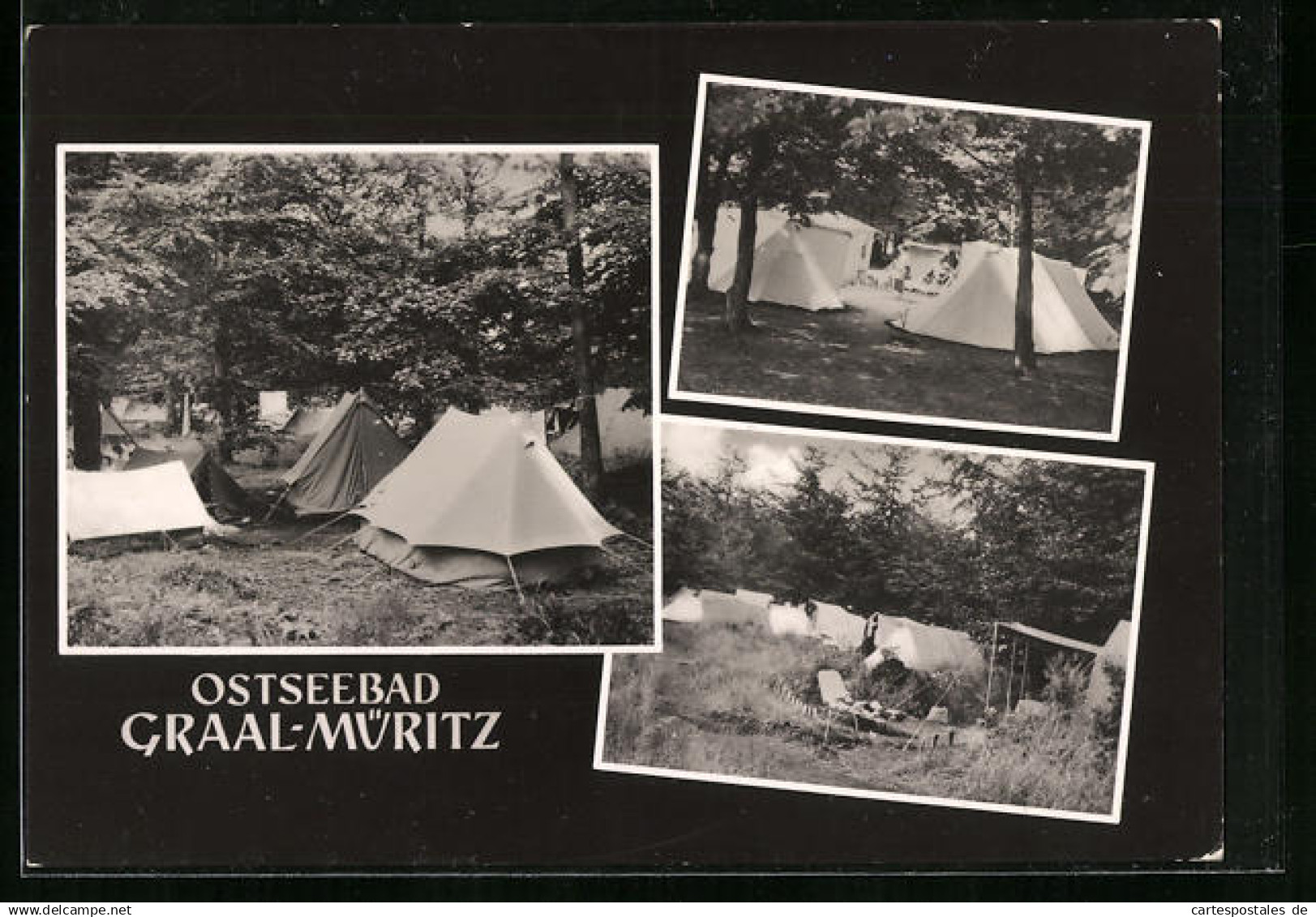 AK Graal-Müritz, Zeltplatz