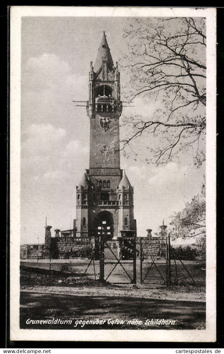 AK Grunewald, Grunewaldturm gegenüber Gatow, nahe Schildhorn