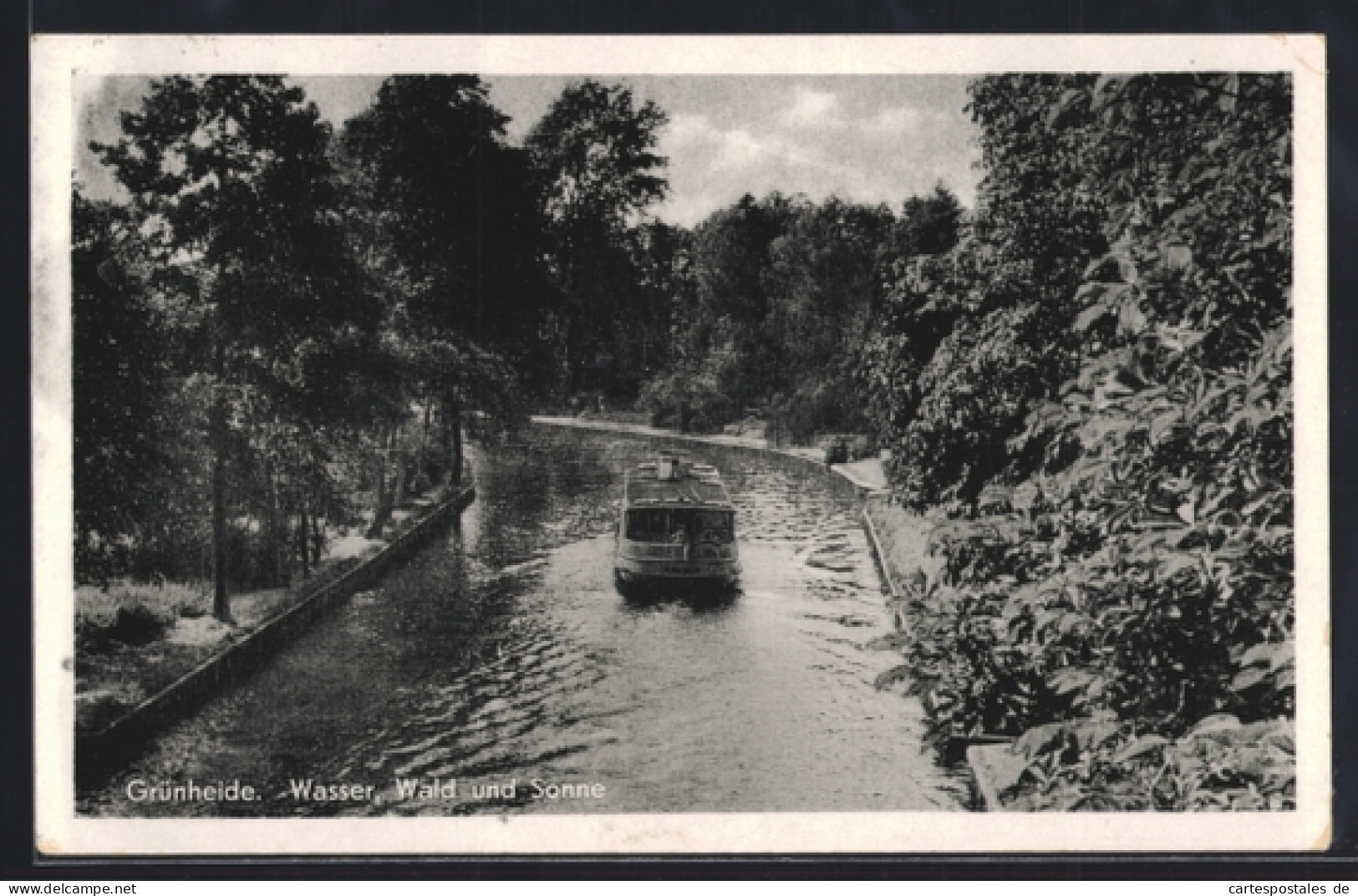 AK Grünheide, Wasser, Wald und Sonne