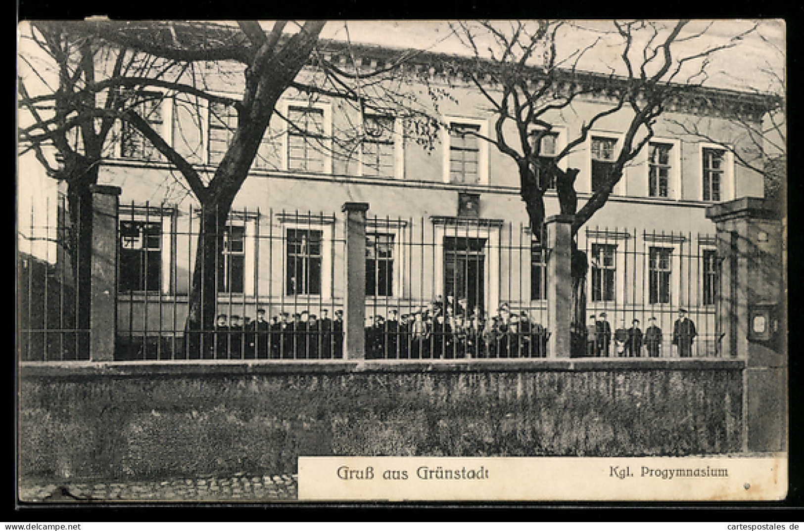 AK Grünstadt, Königliches Progymnasium