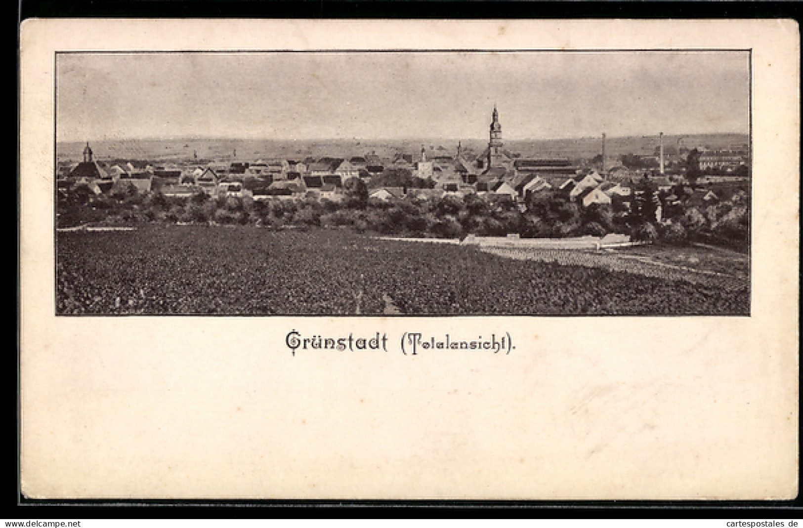 AK Grünstadt, Totalansicht