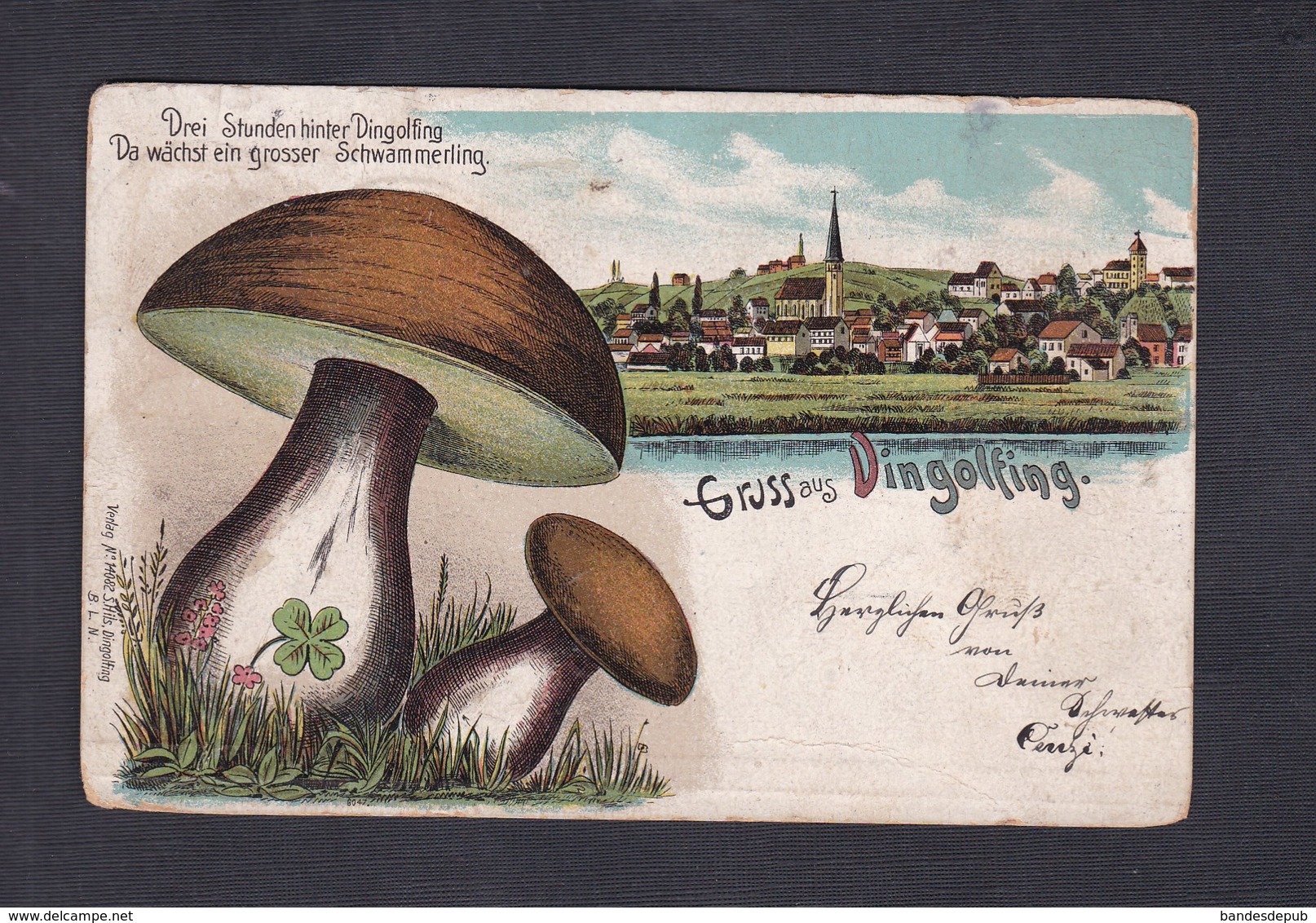AK Gruss aus Dingolfing ( chromo lithographie champignons Ed. S. Hils)