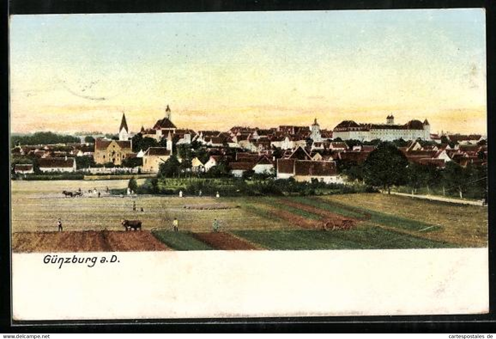 AK Günzburg a.D., Stadtansicht mit Feldern im Vordergrund