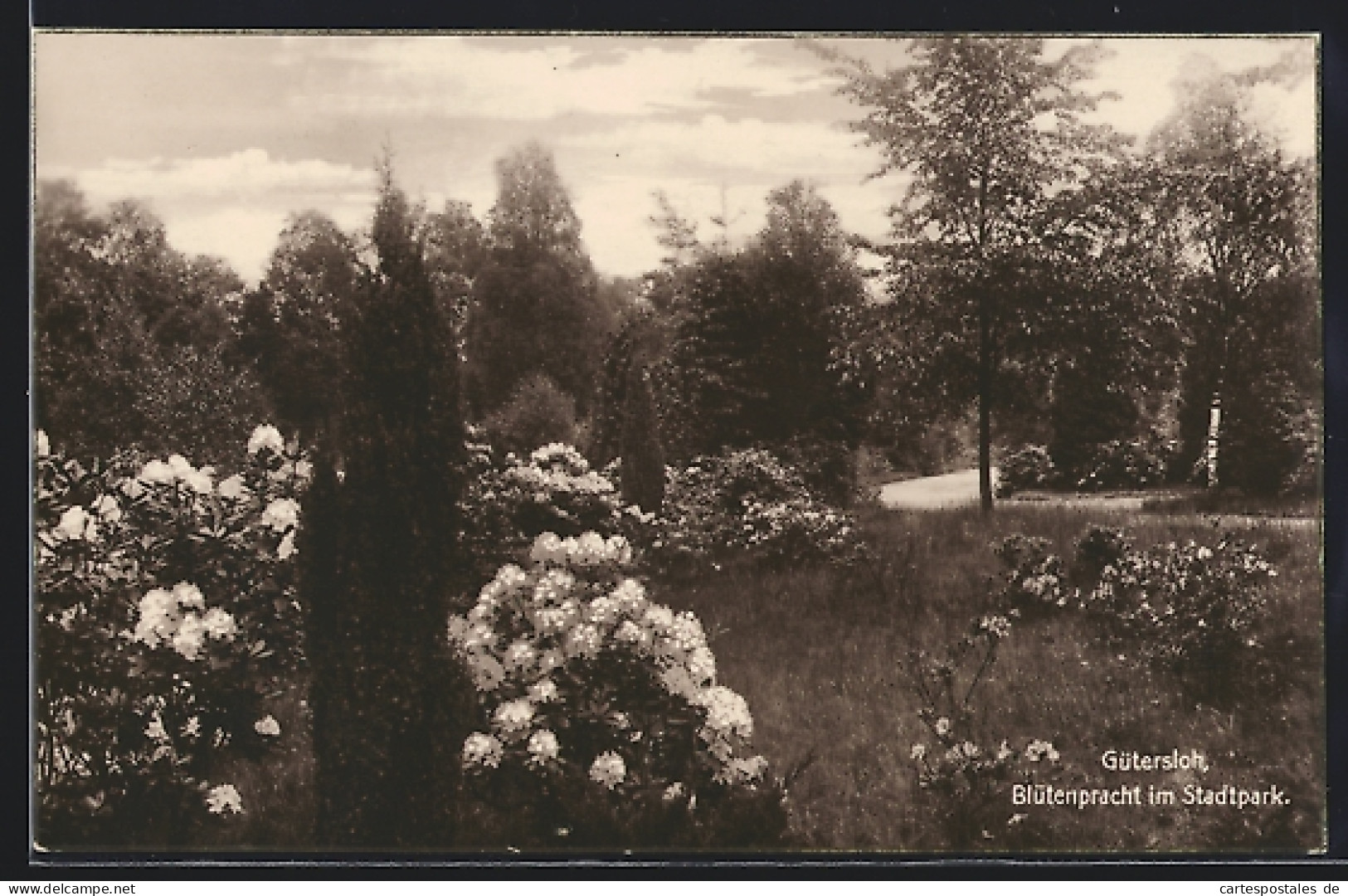 AK Gütersloh, Blütenpracht im Stadtpark