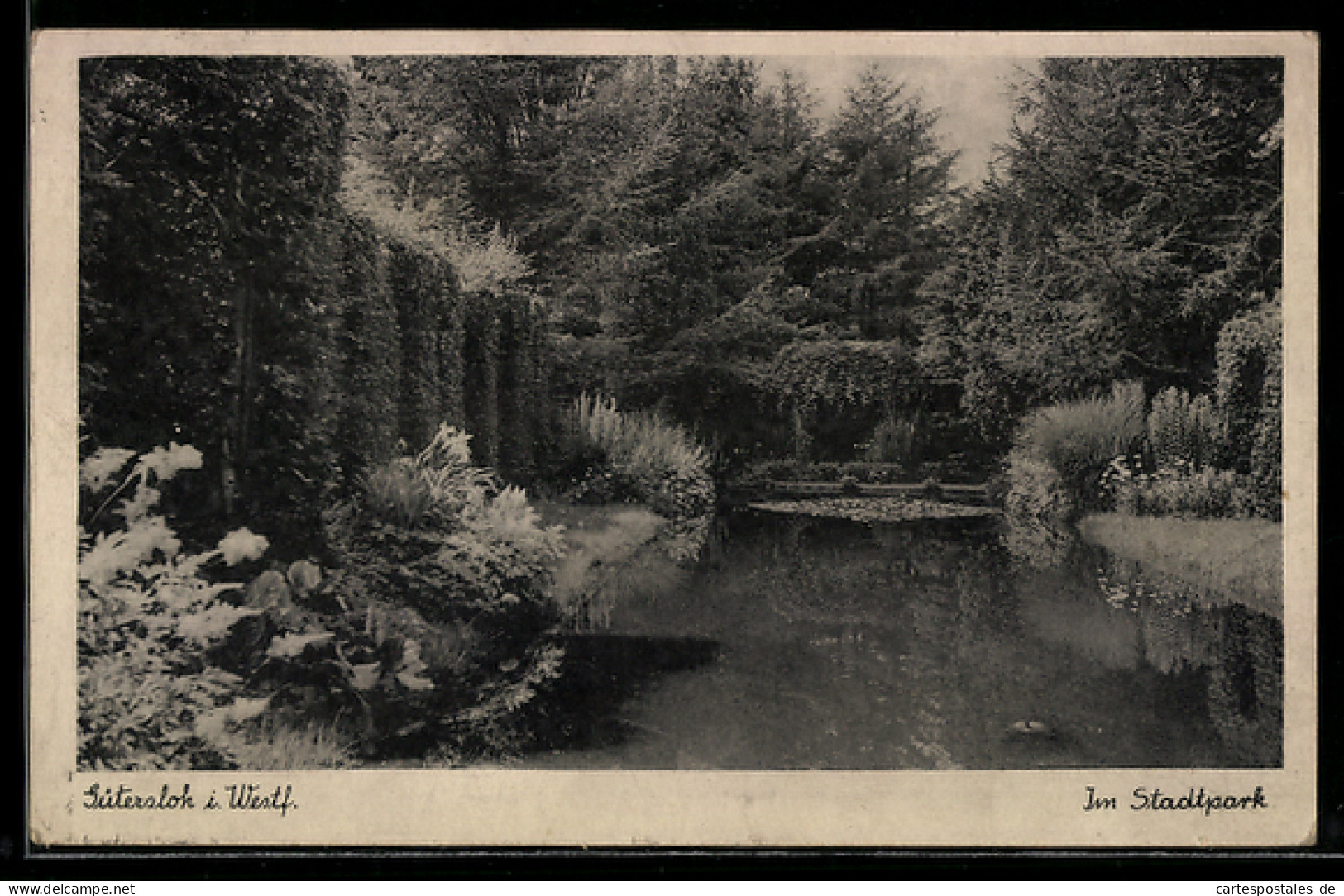 AK Gütersloh i. Westf., Stadtpark, Teich