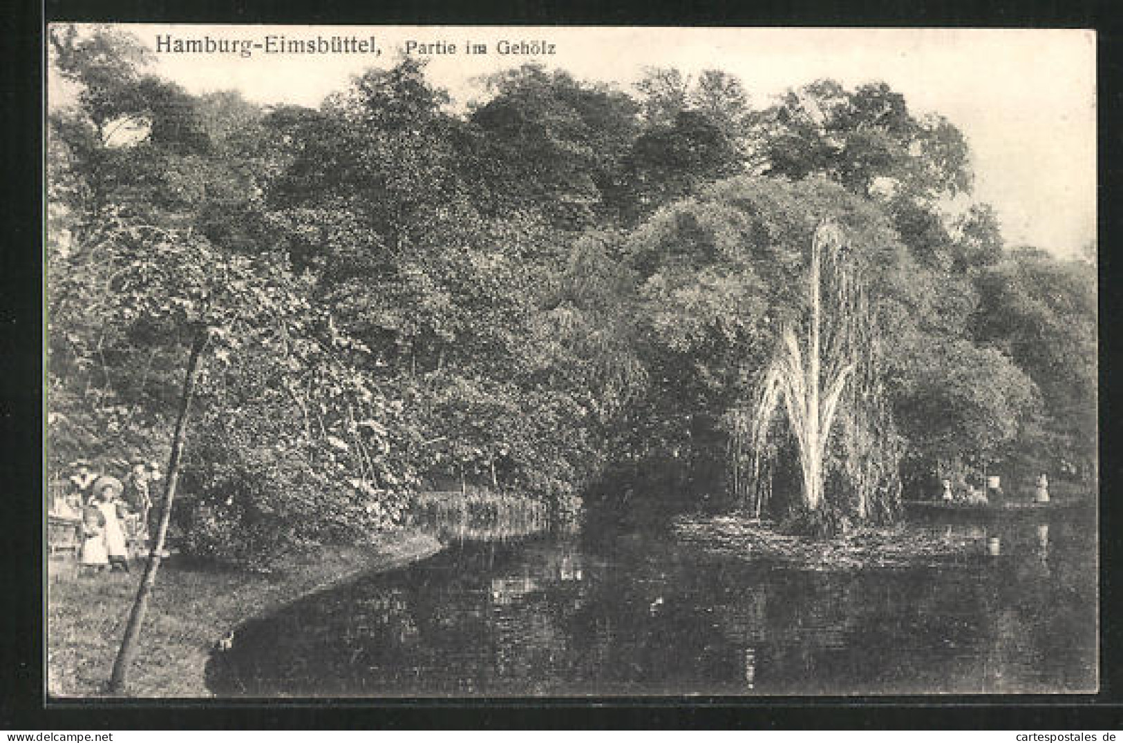 AK Hamburg-Eimsbüttel, Partie im Gehölz