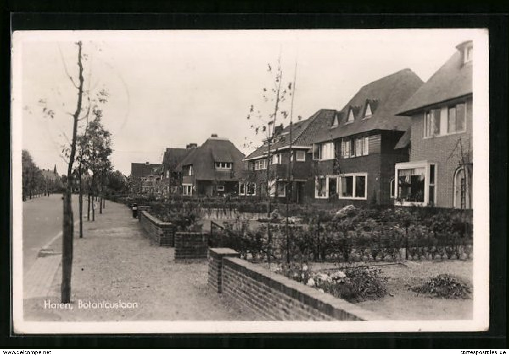 AK Haren, Botanicuslaan